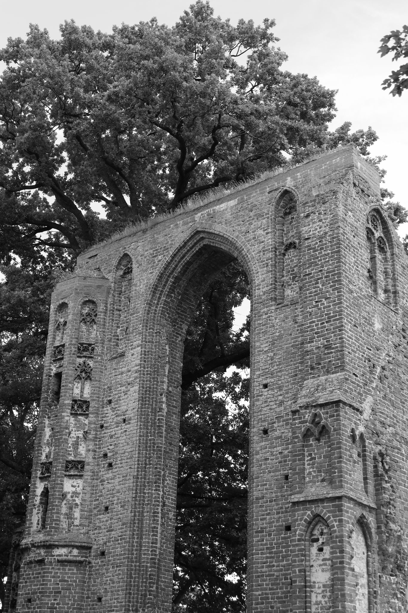 2024 06 16 3247 v2 bw out