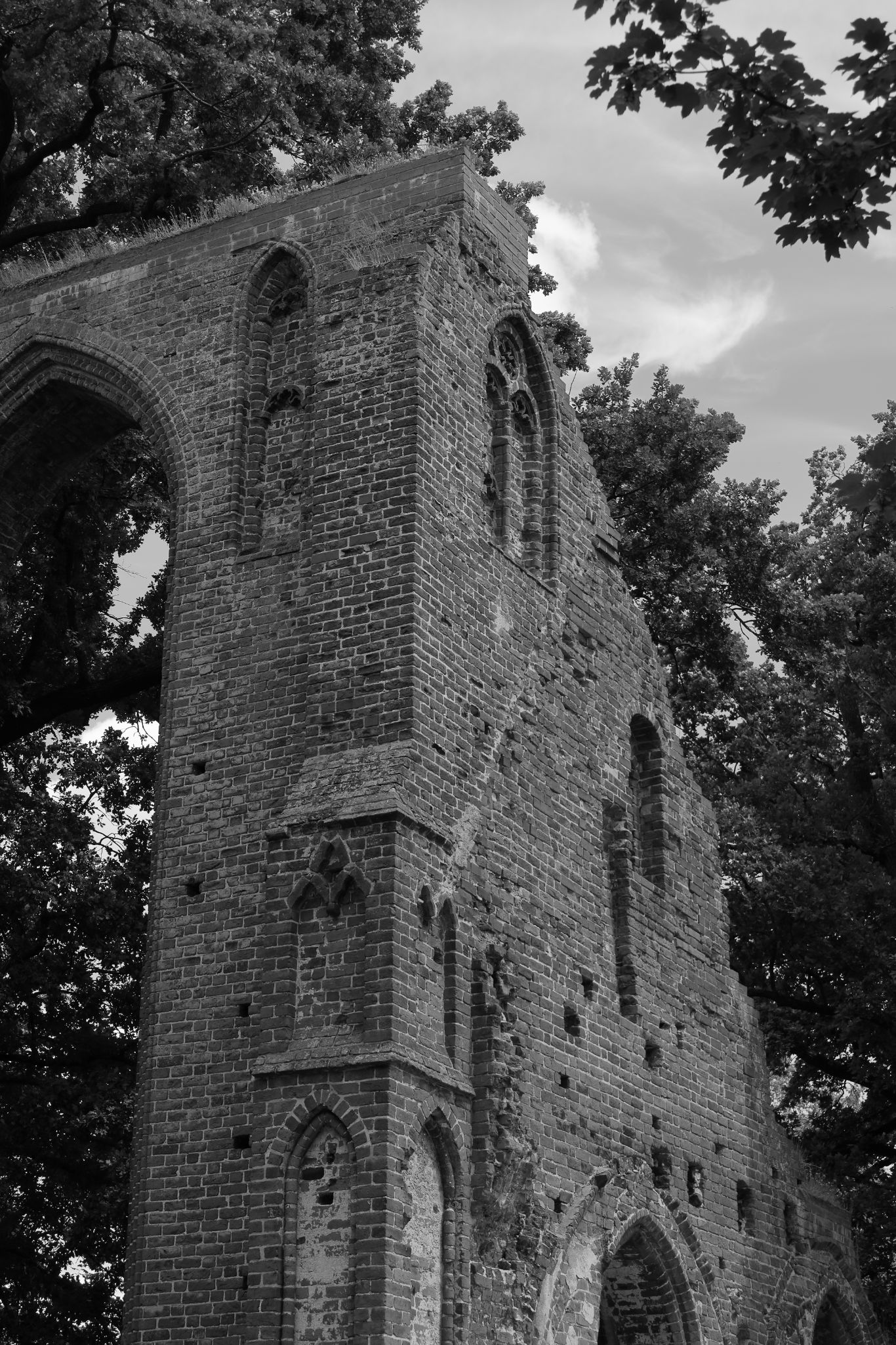 2024 06 16 3248 v2 bw out