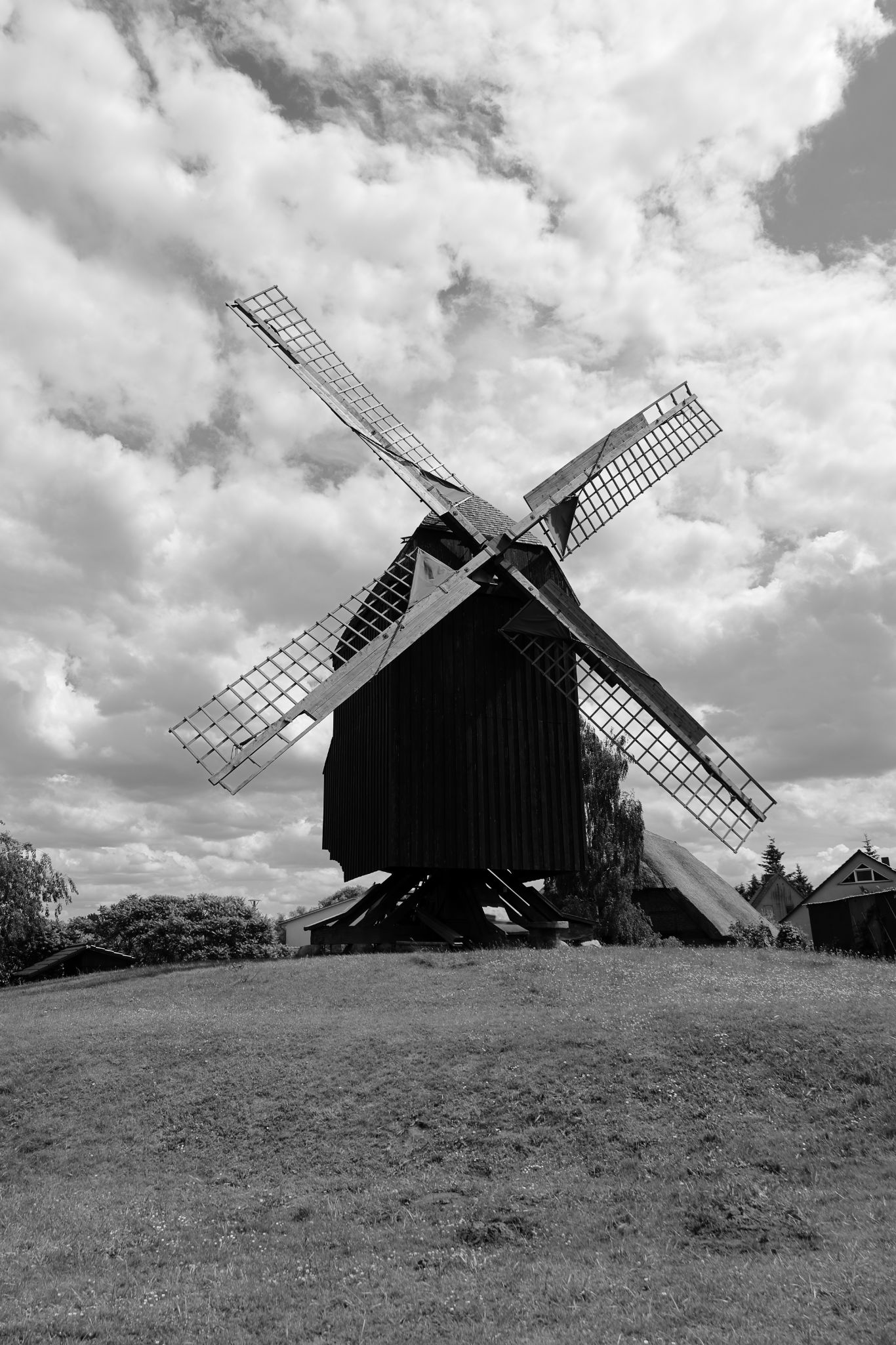 2024 06 16 3251 v2 bw out