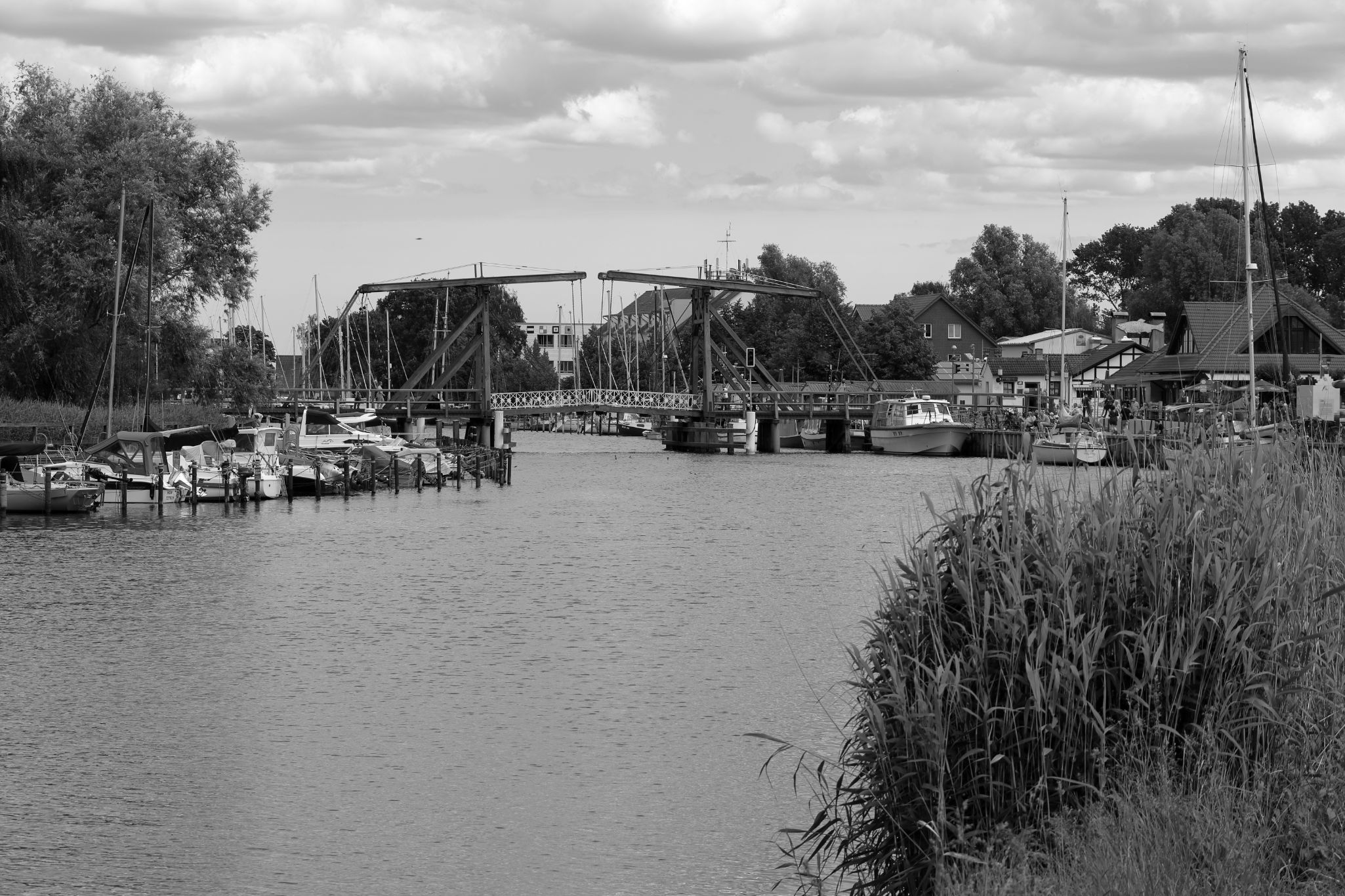 2024 06 16 3253 v2 bw out