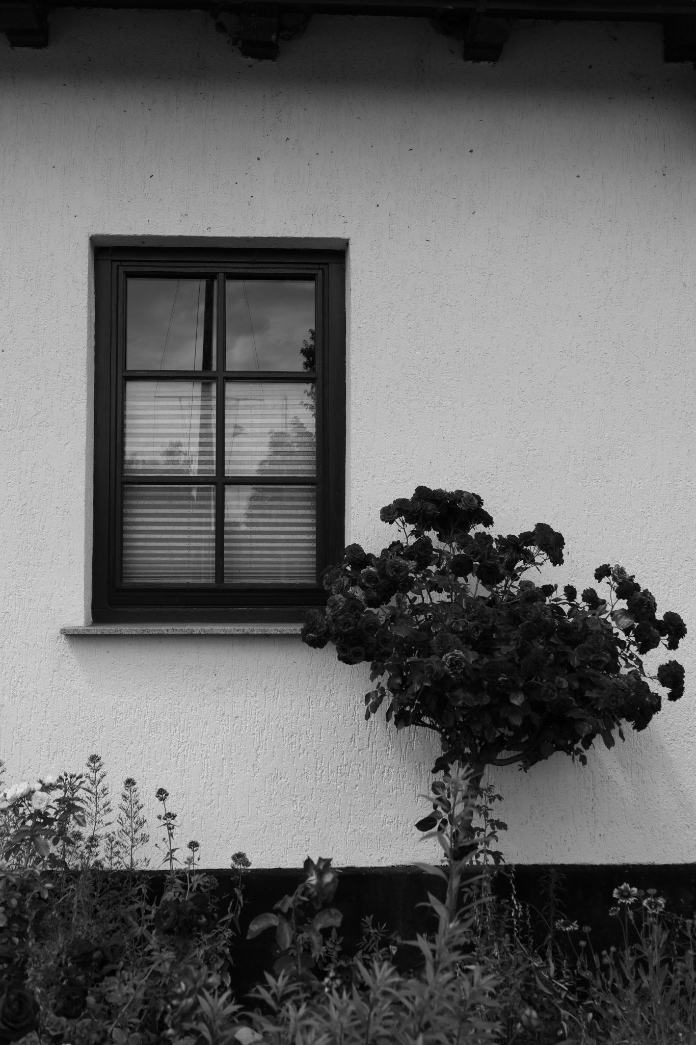 2024 06 16 3273 v2 bw out