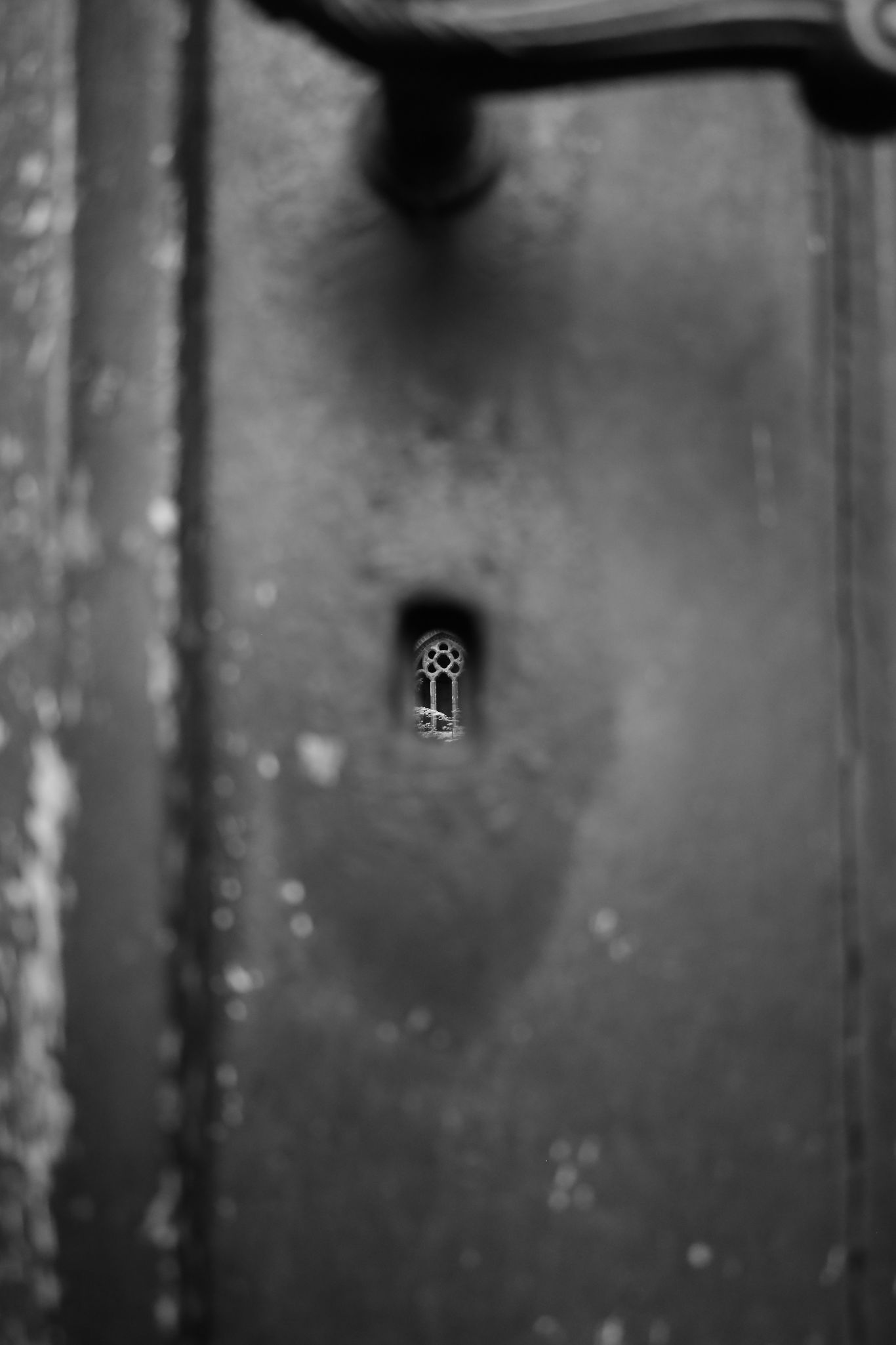 2024 04 13 1114 v2 bw out