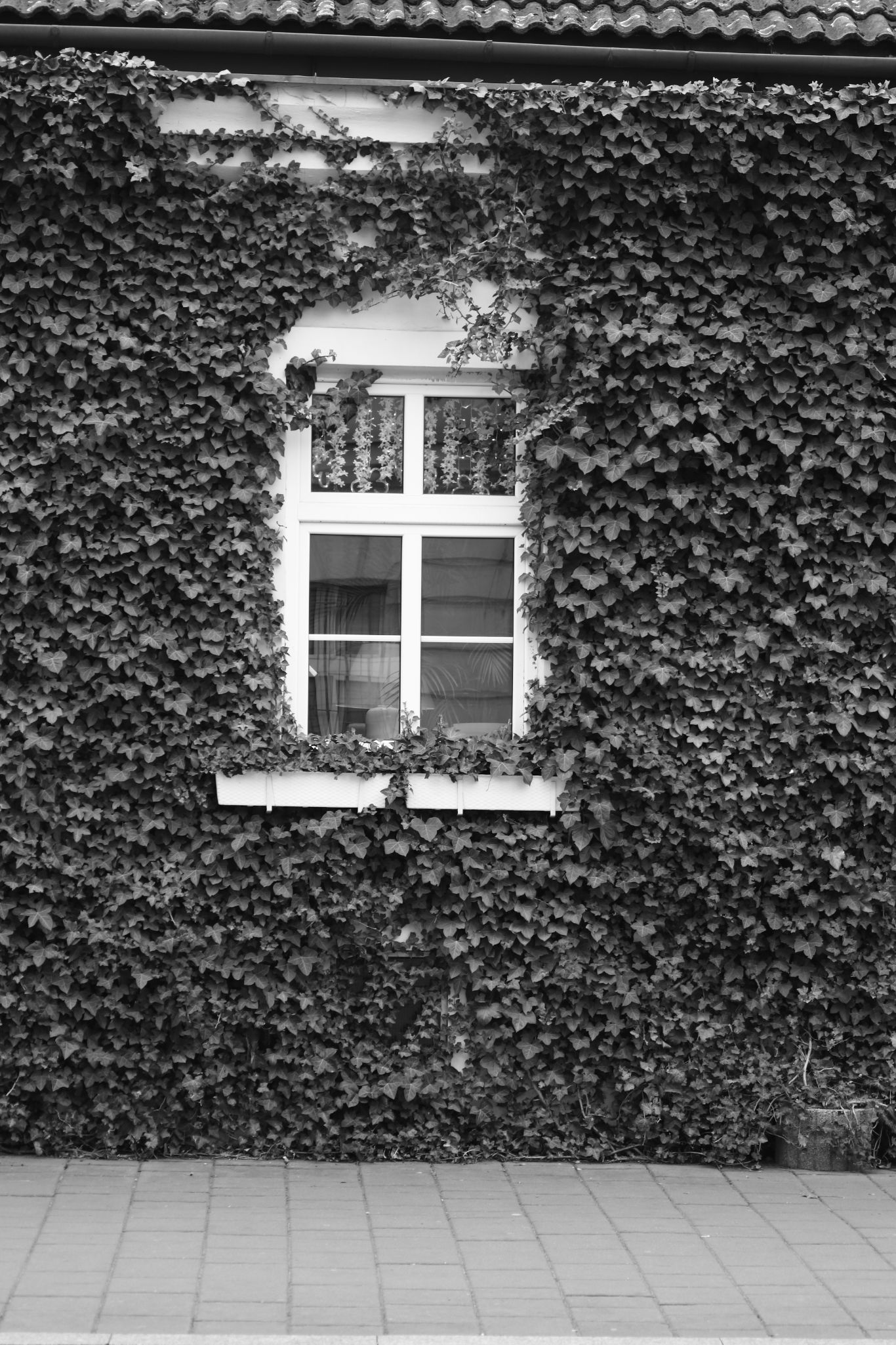 2025 04 13 5923 bw out