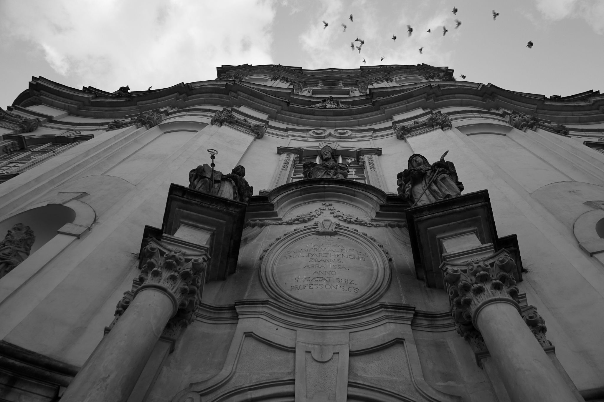 2024 08 16 3798 v2 bw out