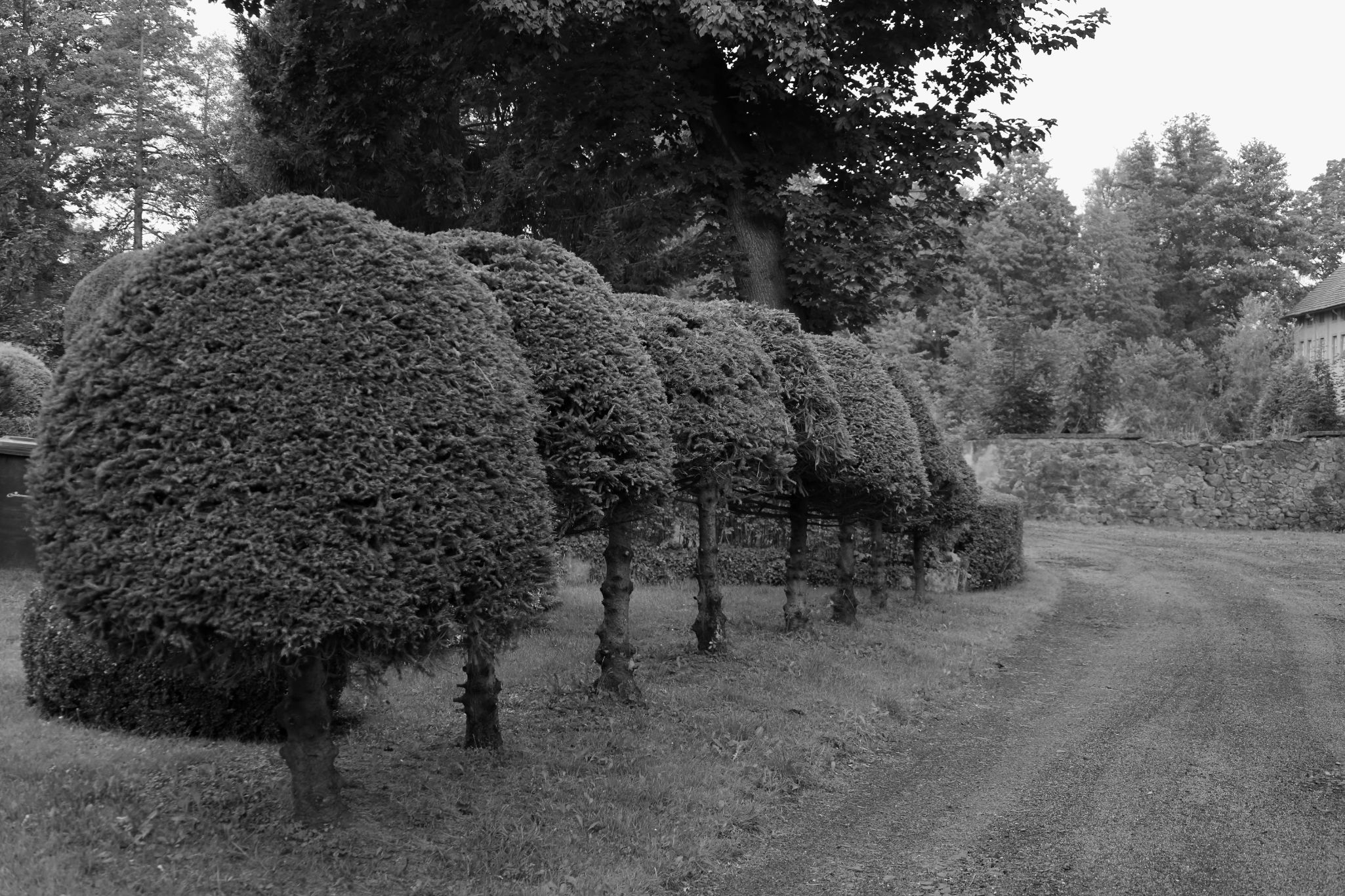2024 08 16 3846 v2 bw out