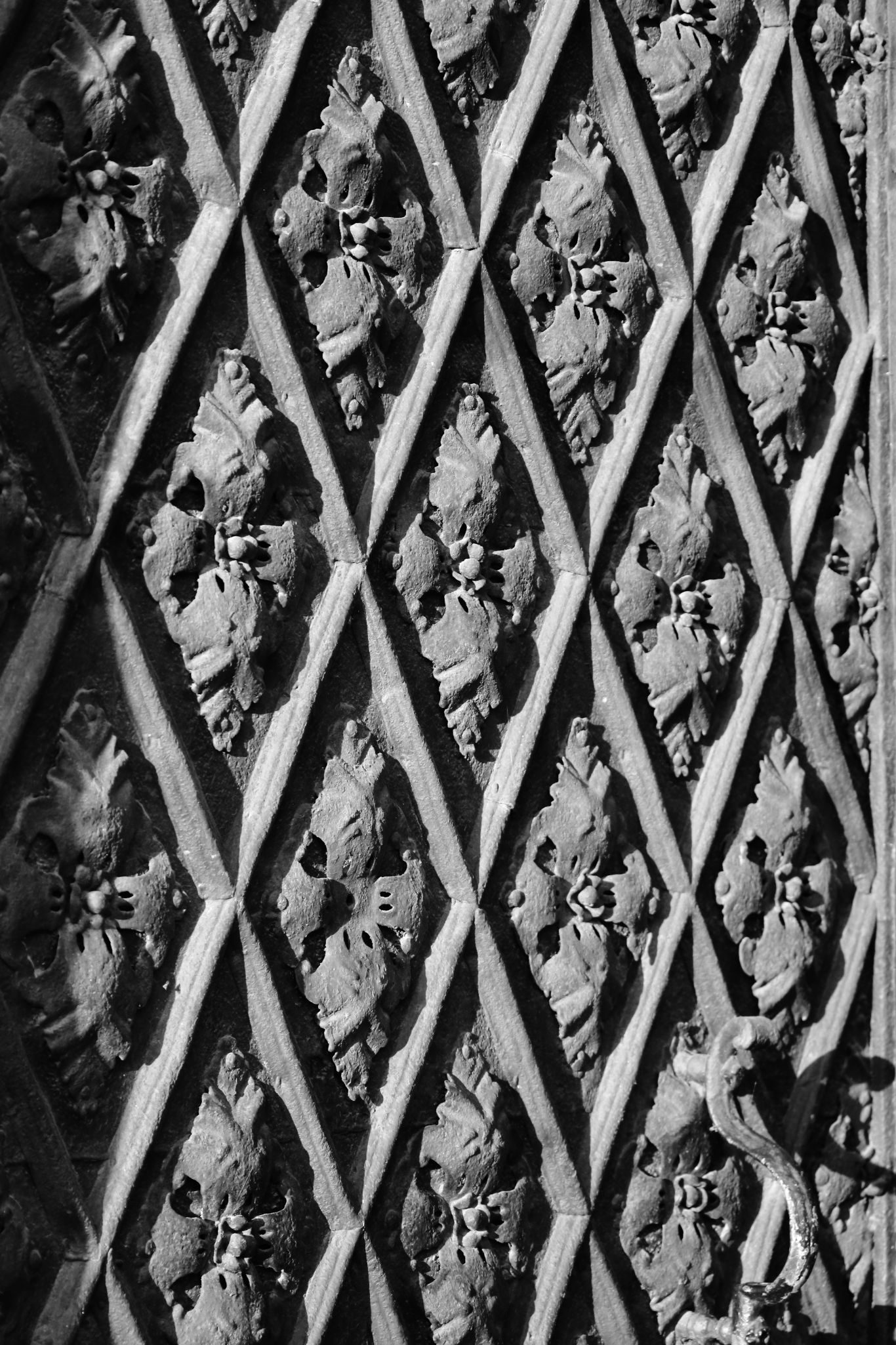 2024 08 16 3886 v2 bw out