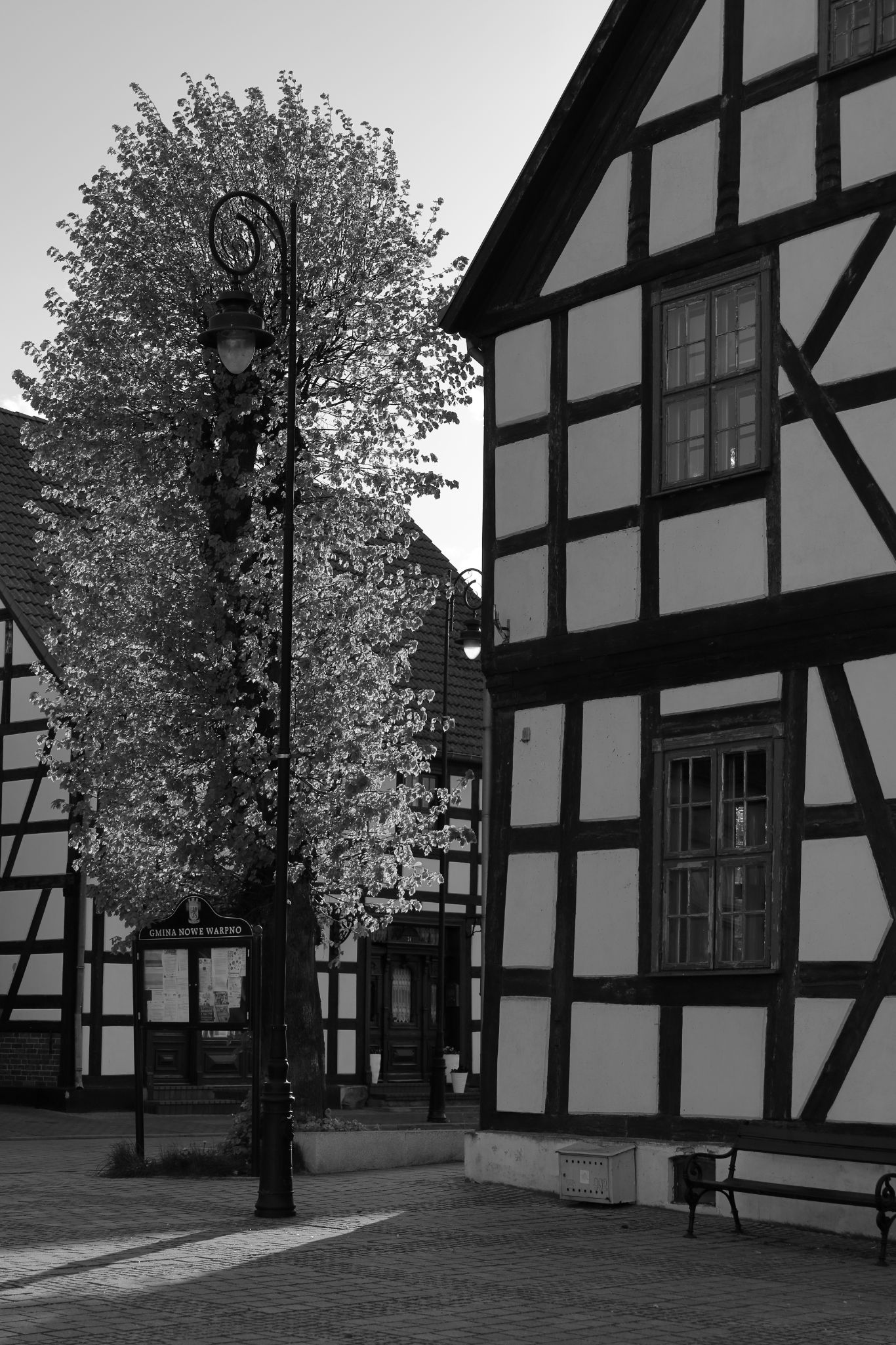 2024 04 14 1169 v2 bw out