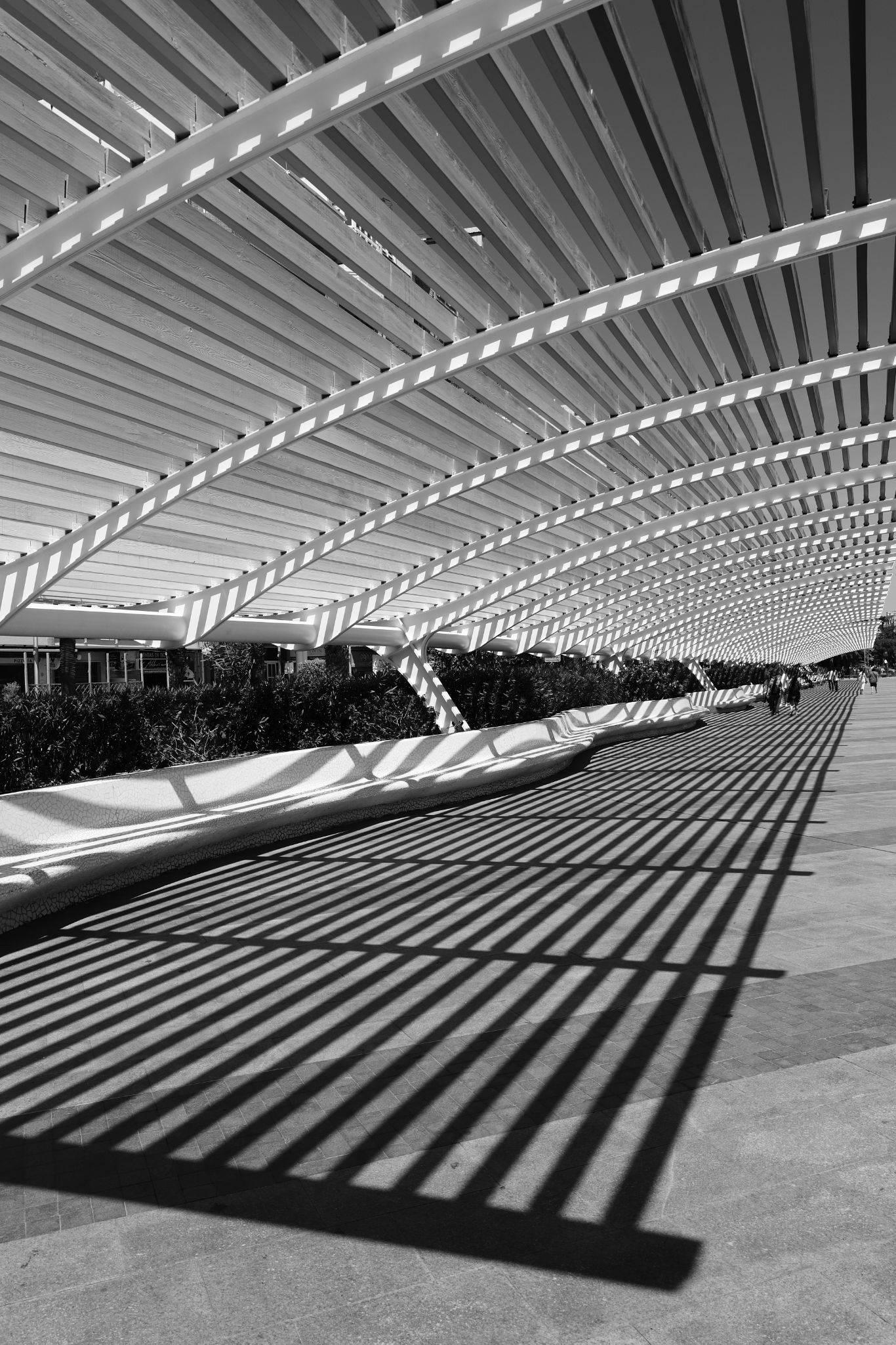 2024 05 12 2529 v2 bw out