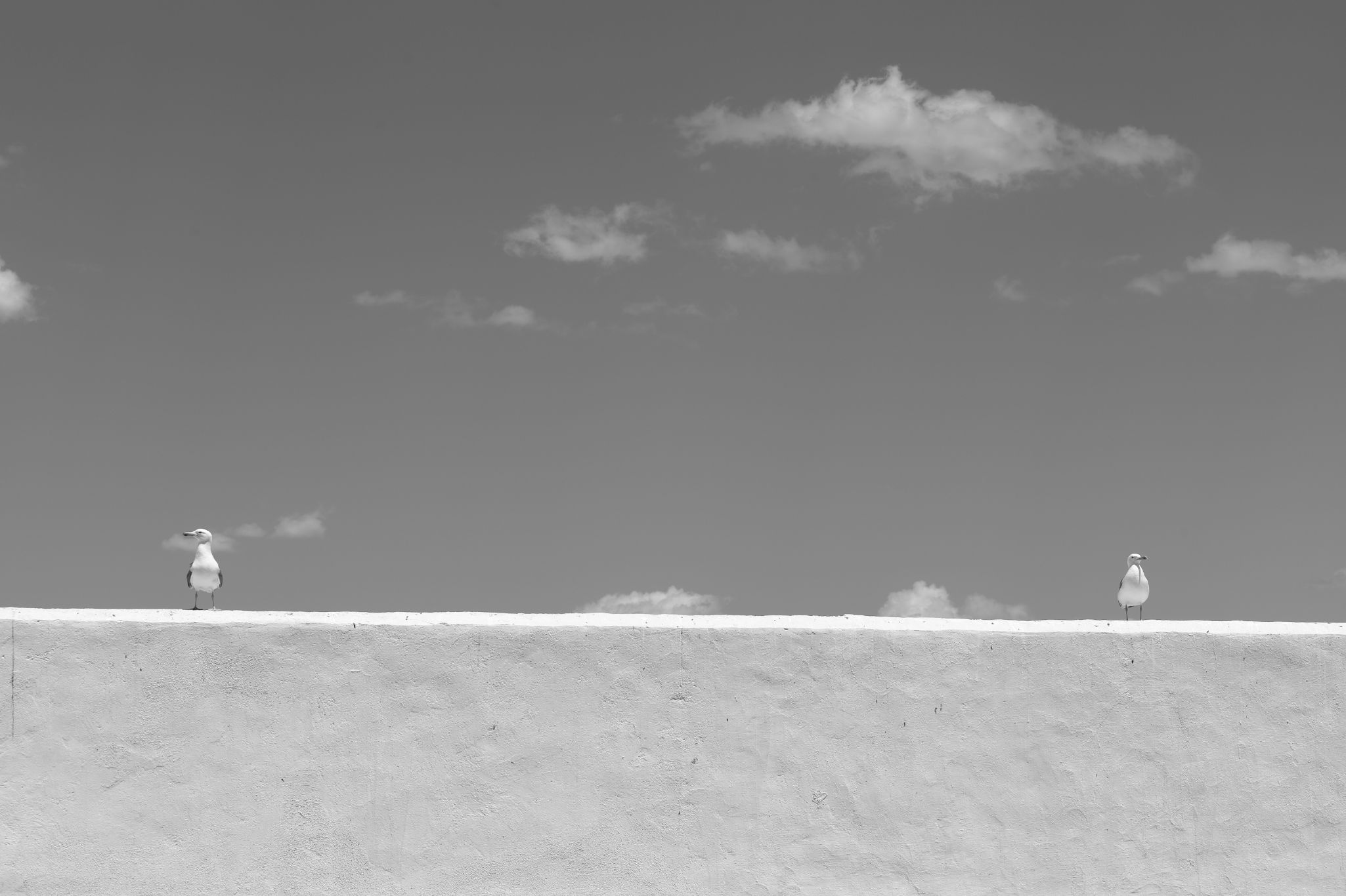 2024 05 14 2761 v2 bw out