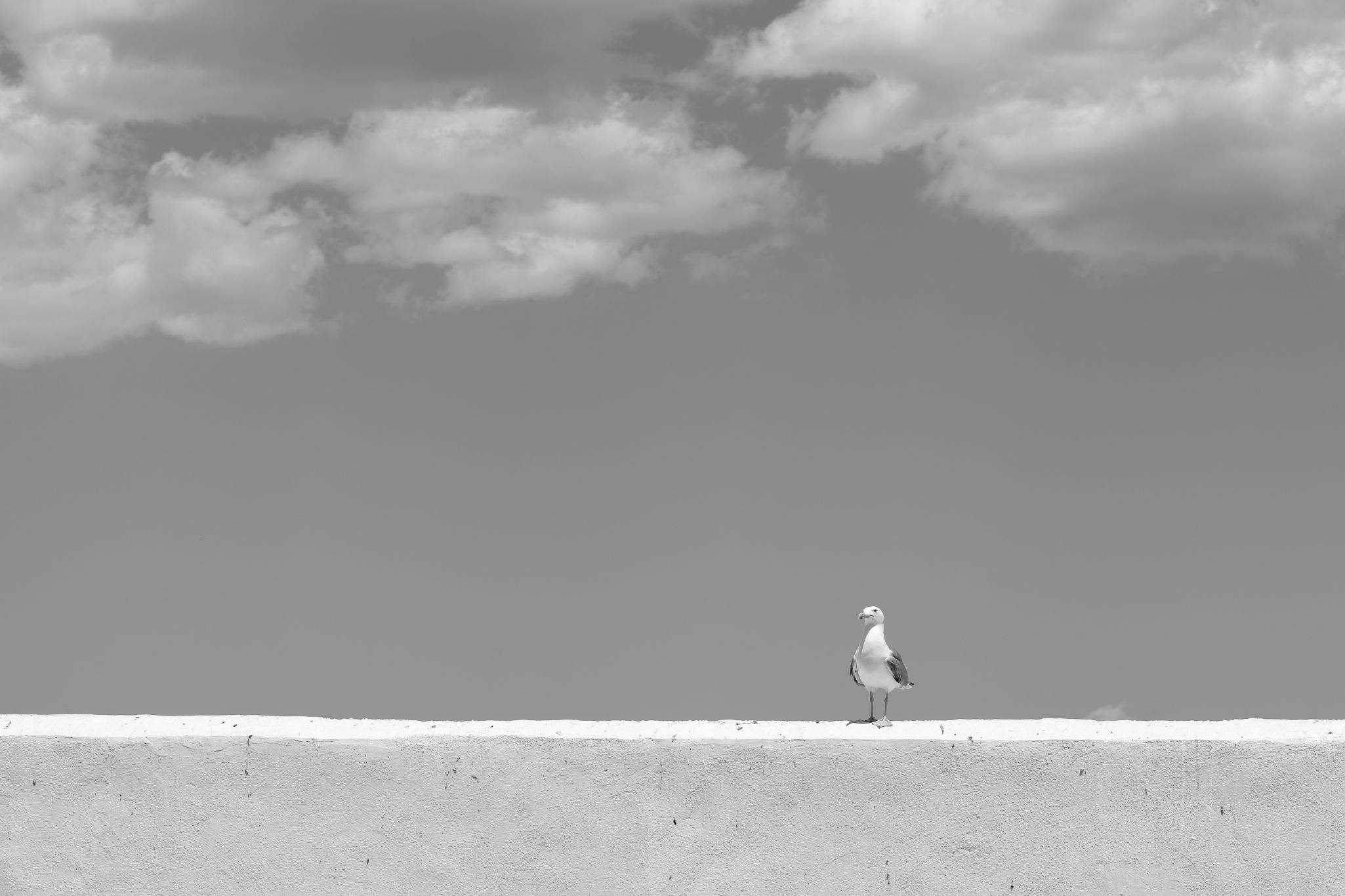 2024 05 14 2791 v2 bw out