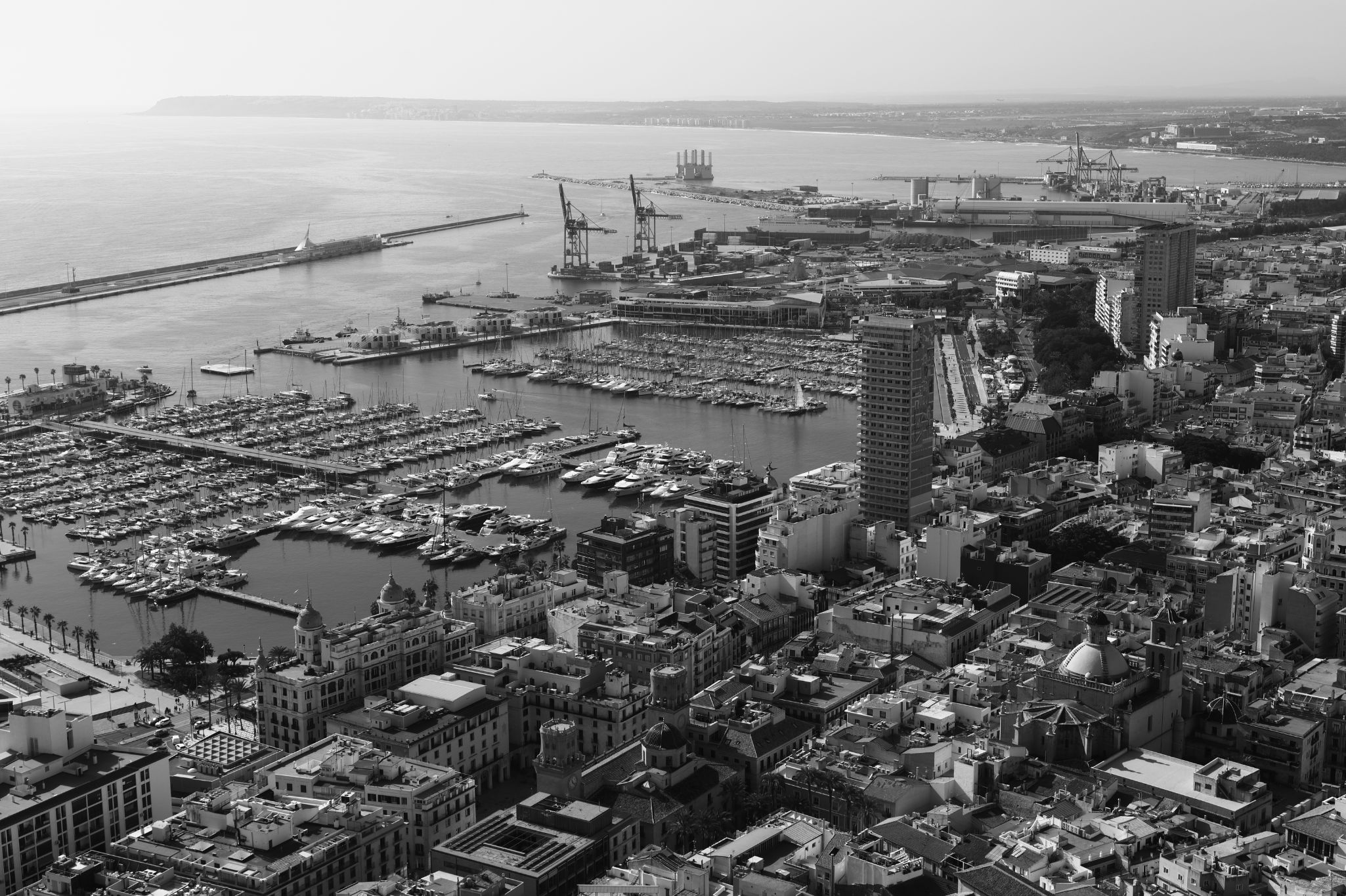 2024 10 30 4902 v2 bw out