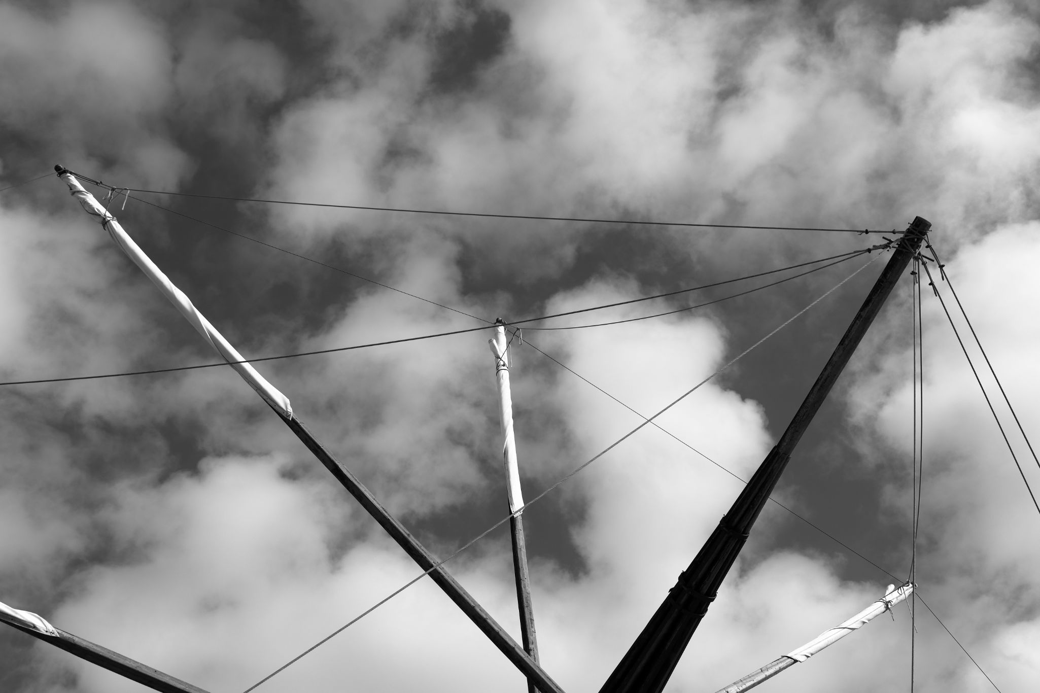 2024 11 01 4932 v2 bw out