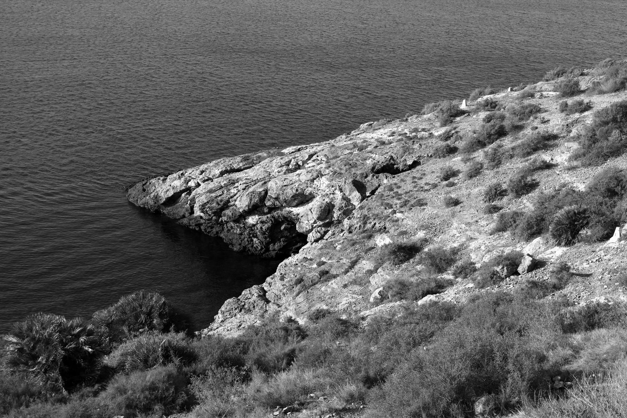 2024 11 01 4966 v2 bw out