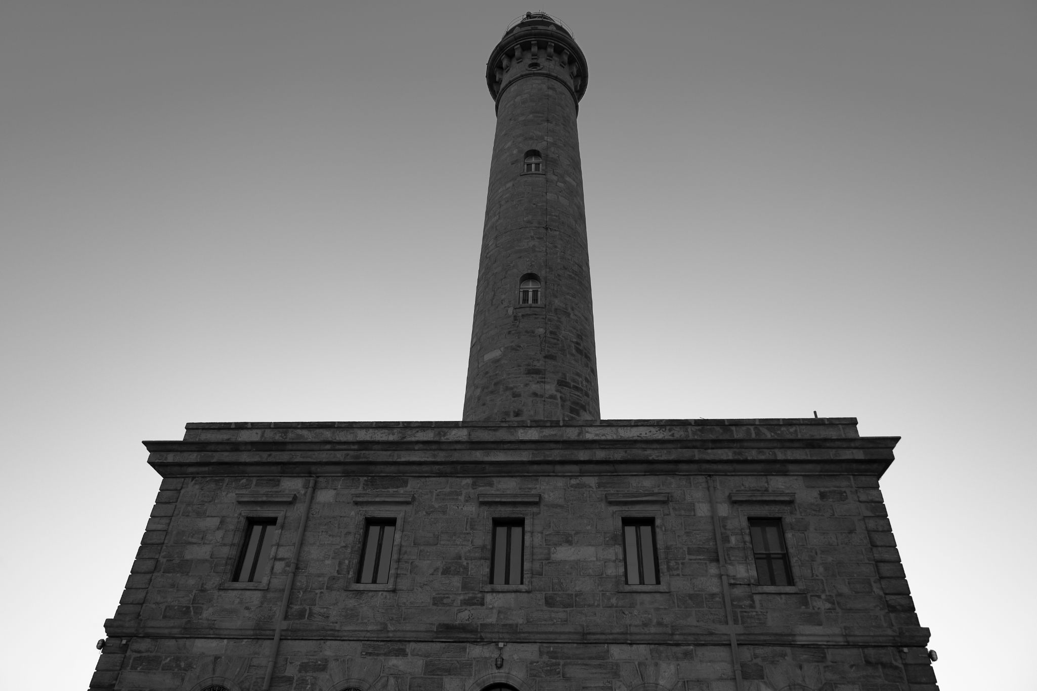 2024 11 07 5288 bw out