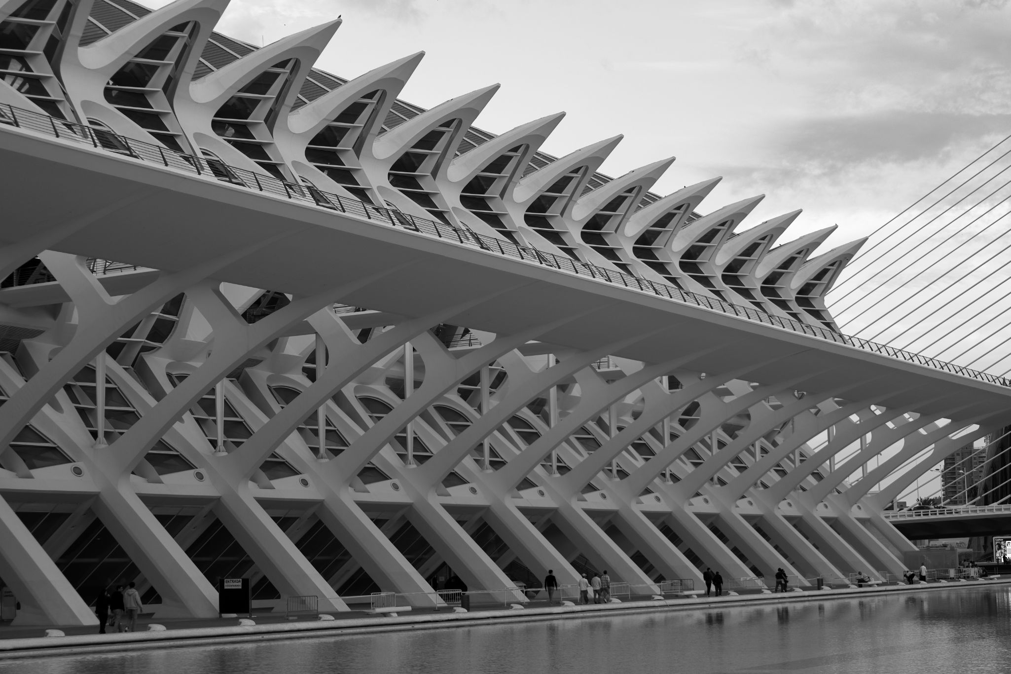 2024 11 09 5517 bw out