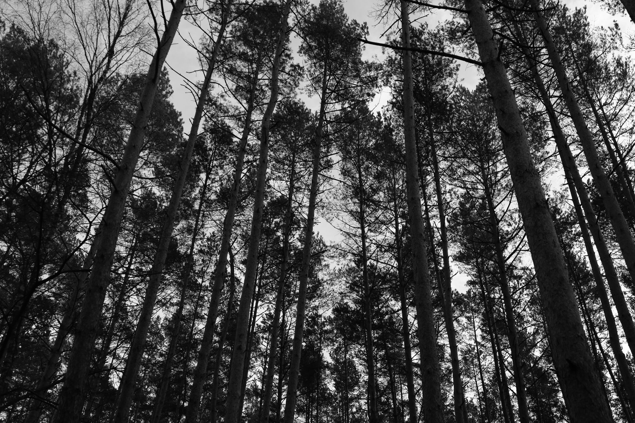 2025 02 24 5703 bw out
