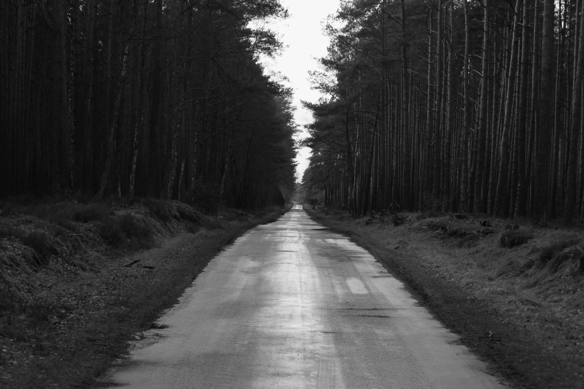 2025 02 24 5705 bw out