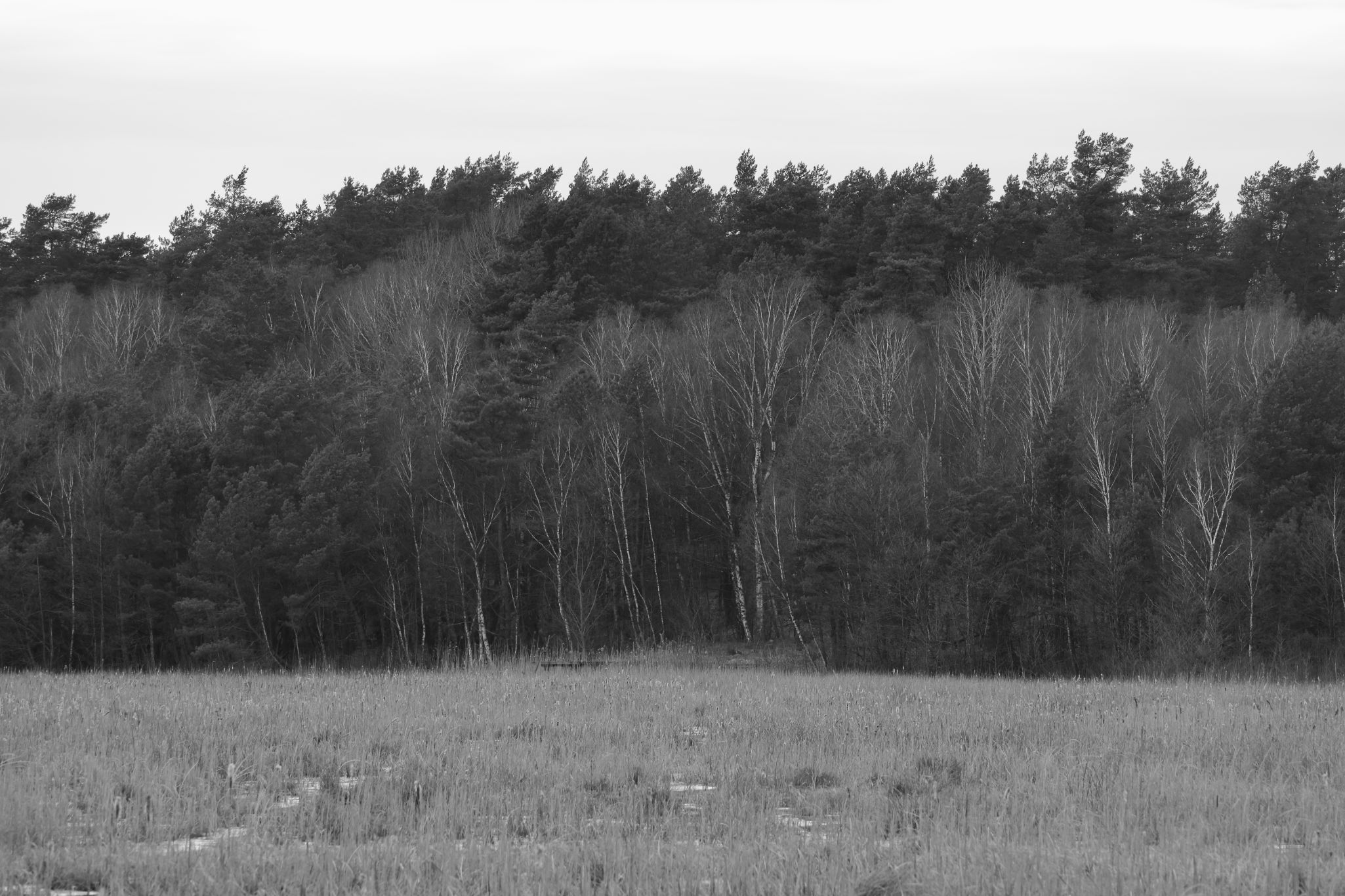 2025 02 24 5746 bw out