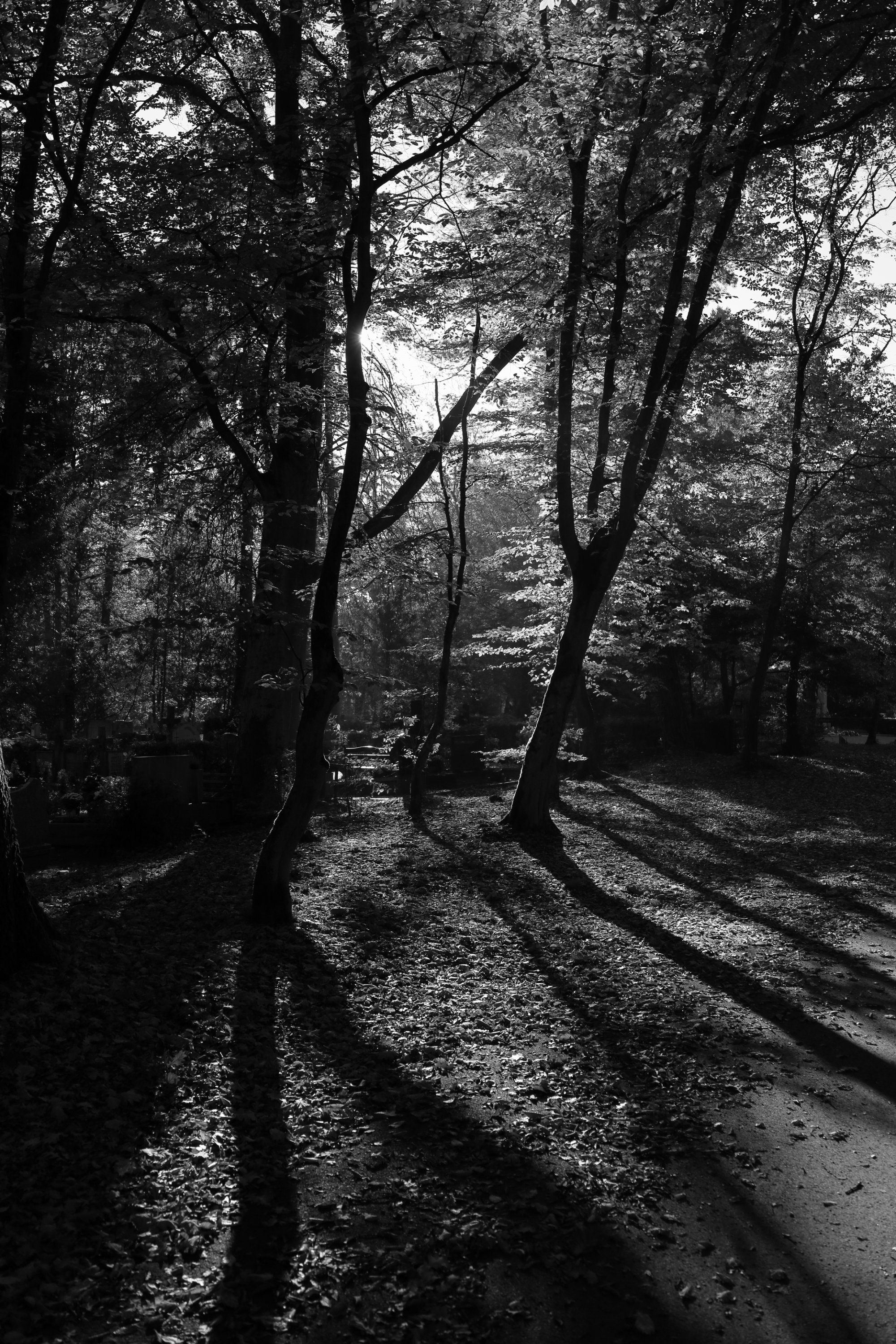 2025 10 19 8382 bw out