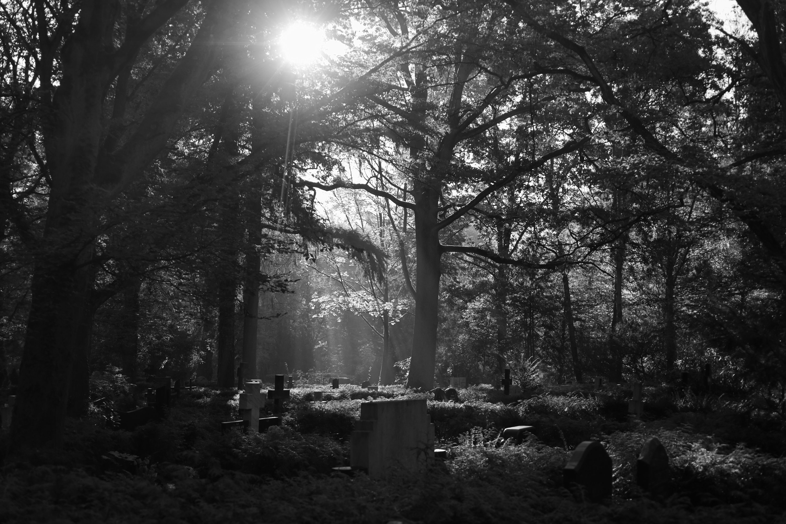 2025 10 19 8386 bw out