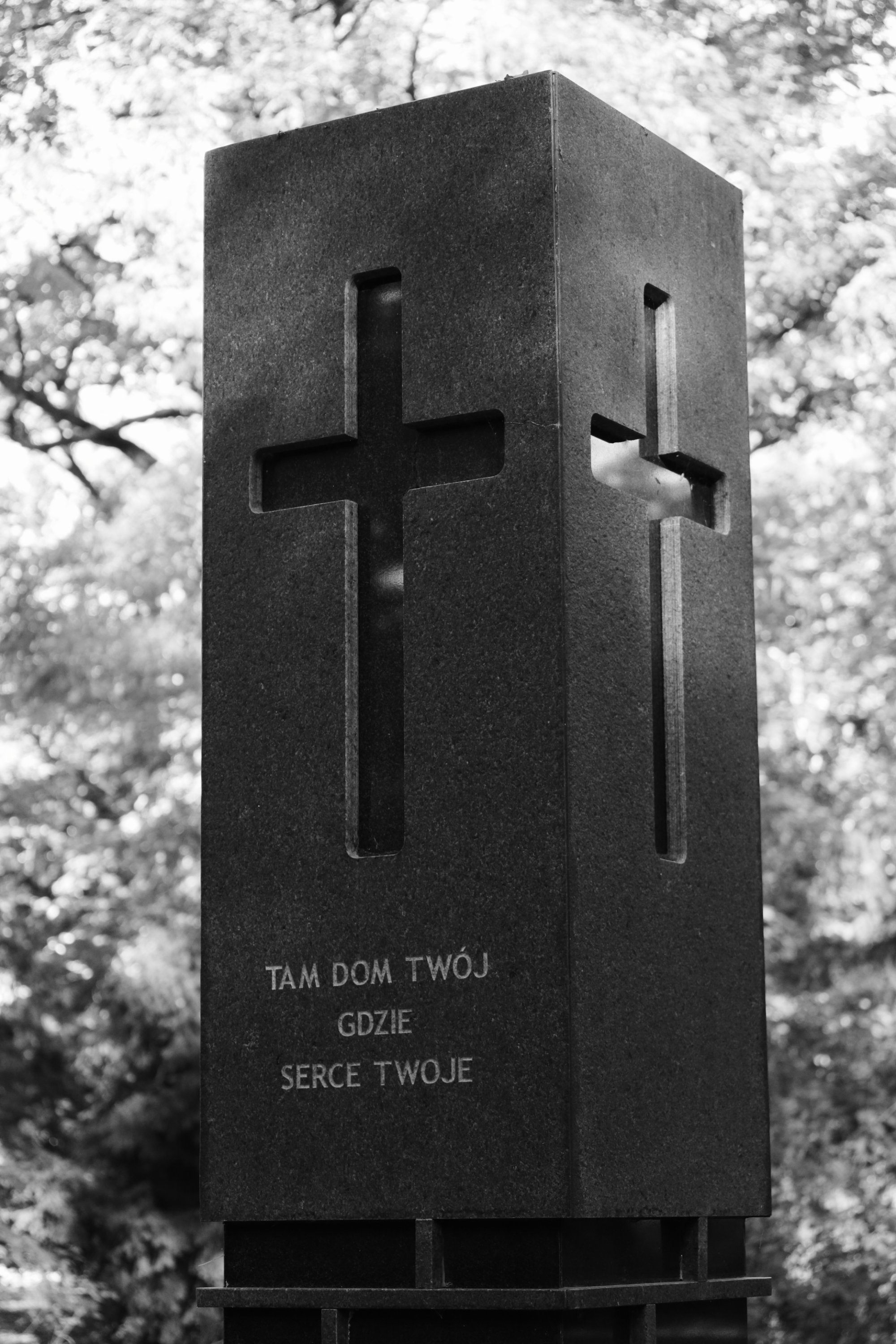 2025 10 19 8454 bw out