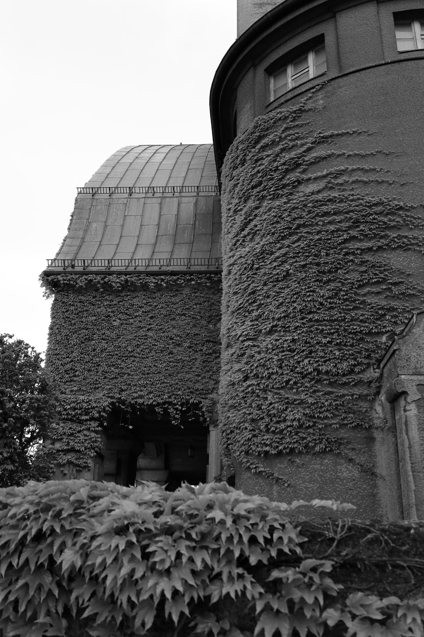 2024 05 01 2361 v2 bw out