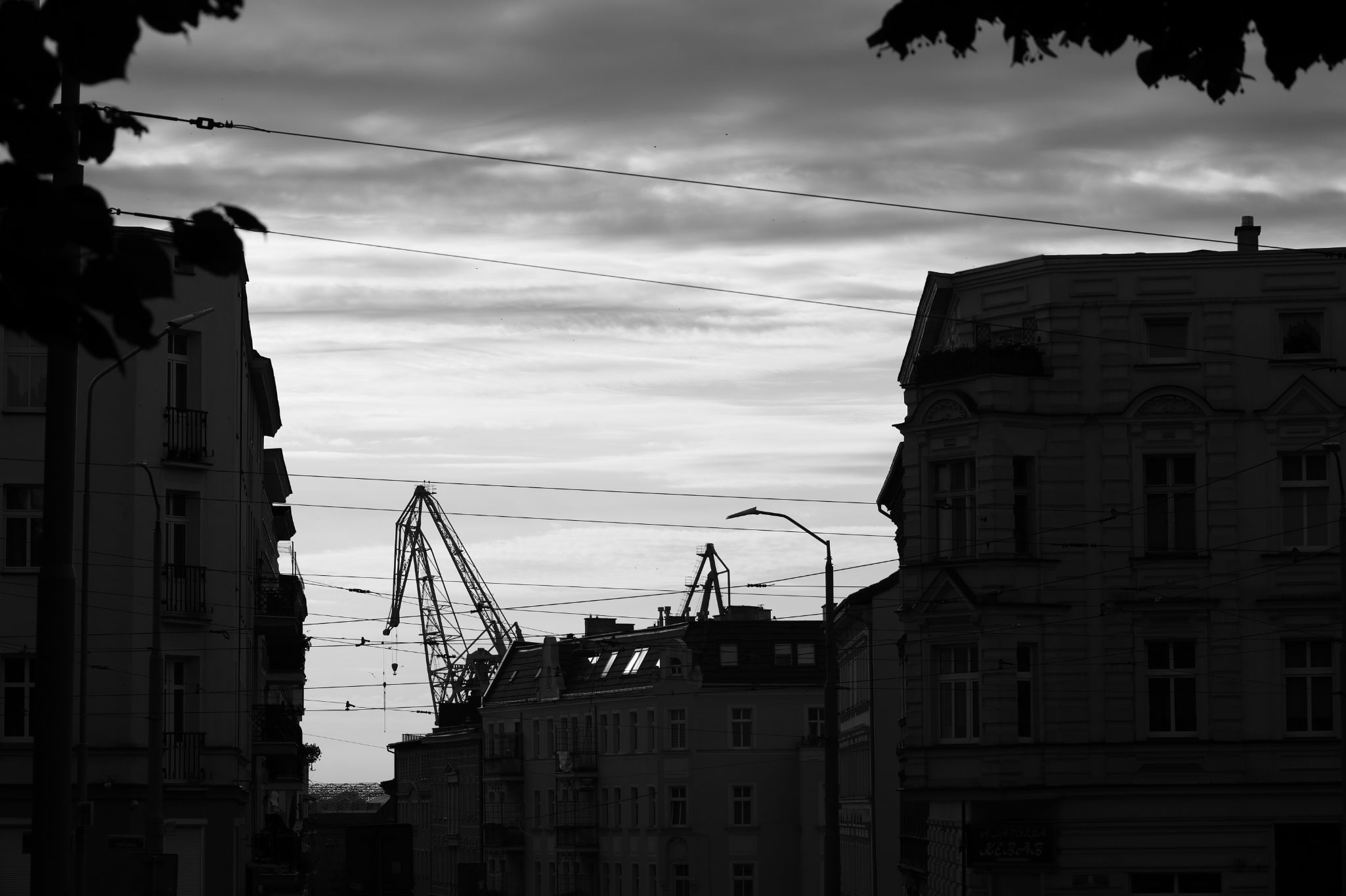 2024 07 14 3683 v2 bw out