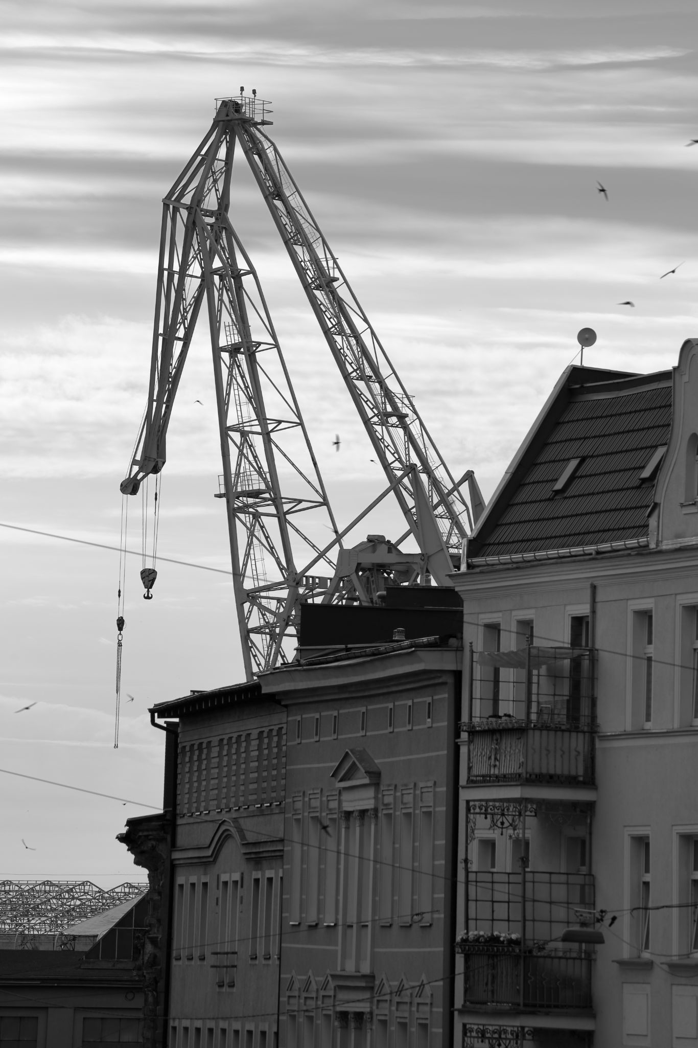 2024 07 14 3695 v2 bw out