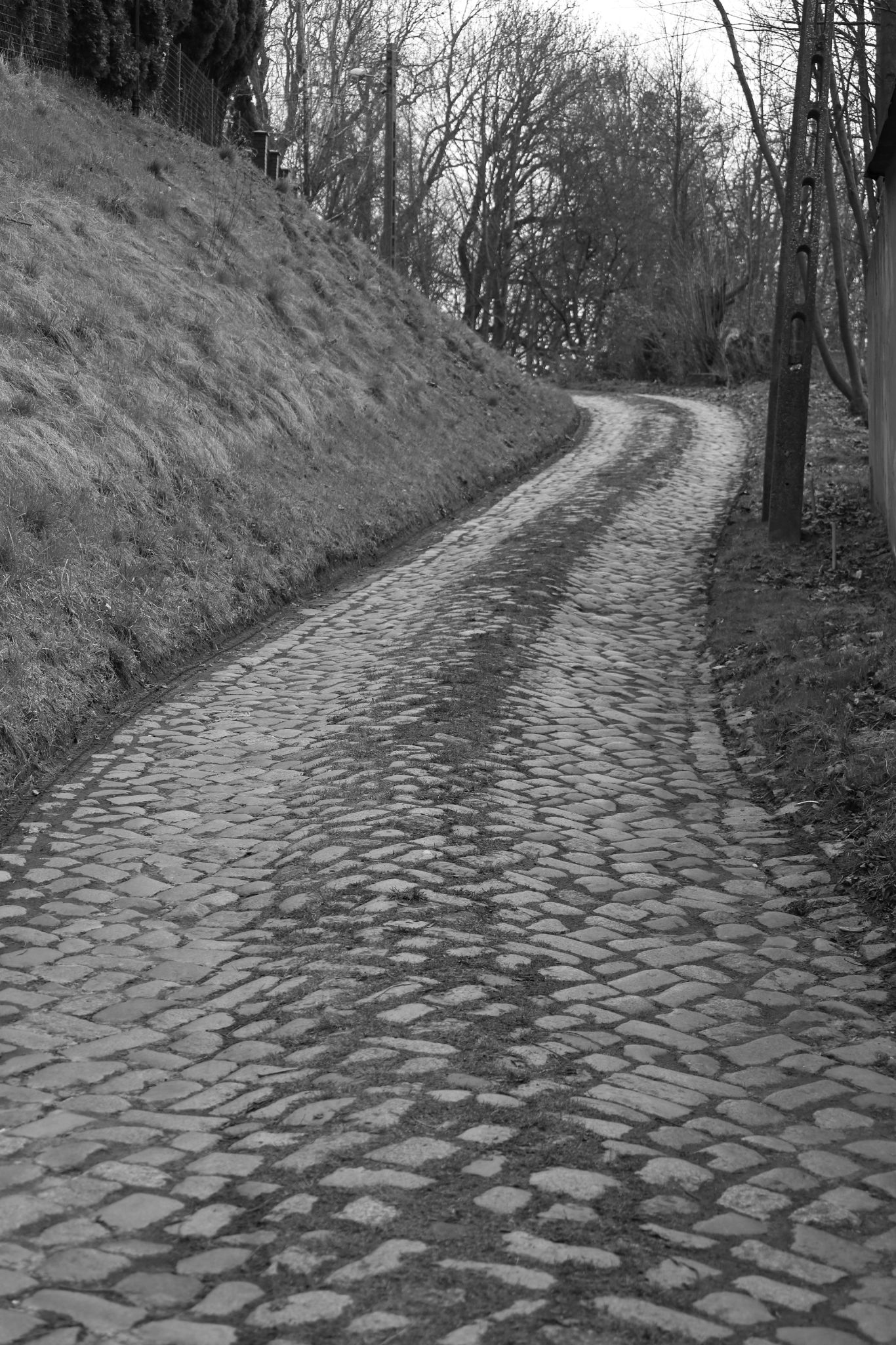 2024 03 10 0778 v2 bw out