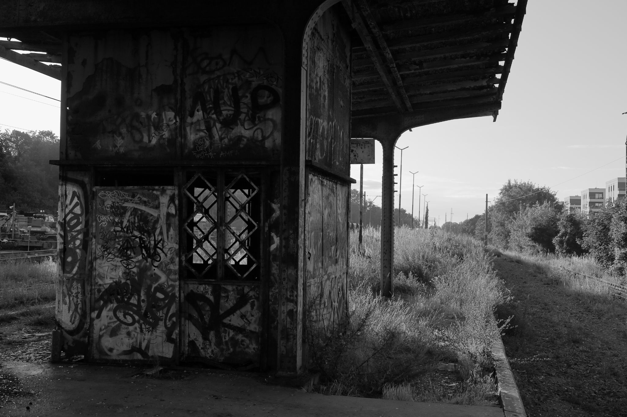 2024 07 14 3536 v2 bw out