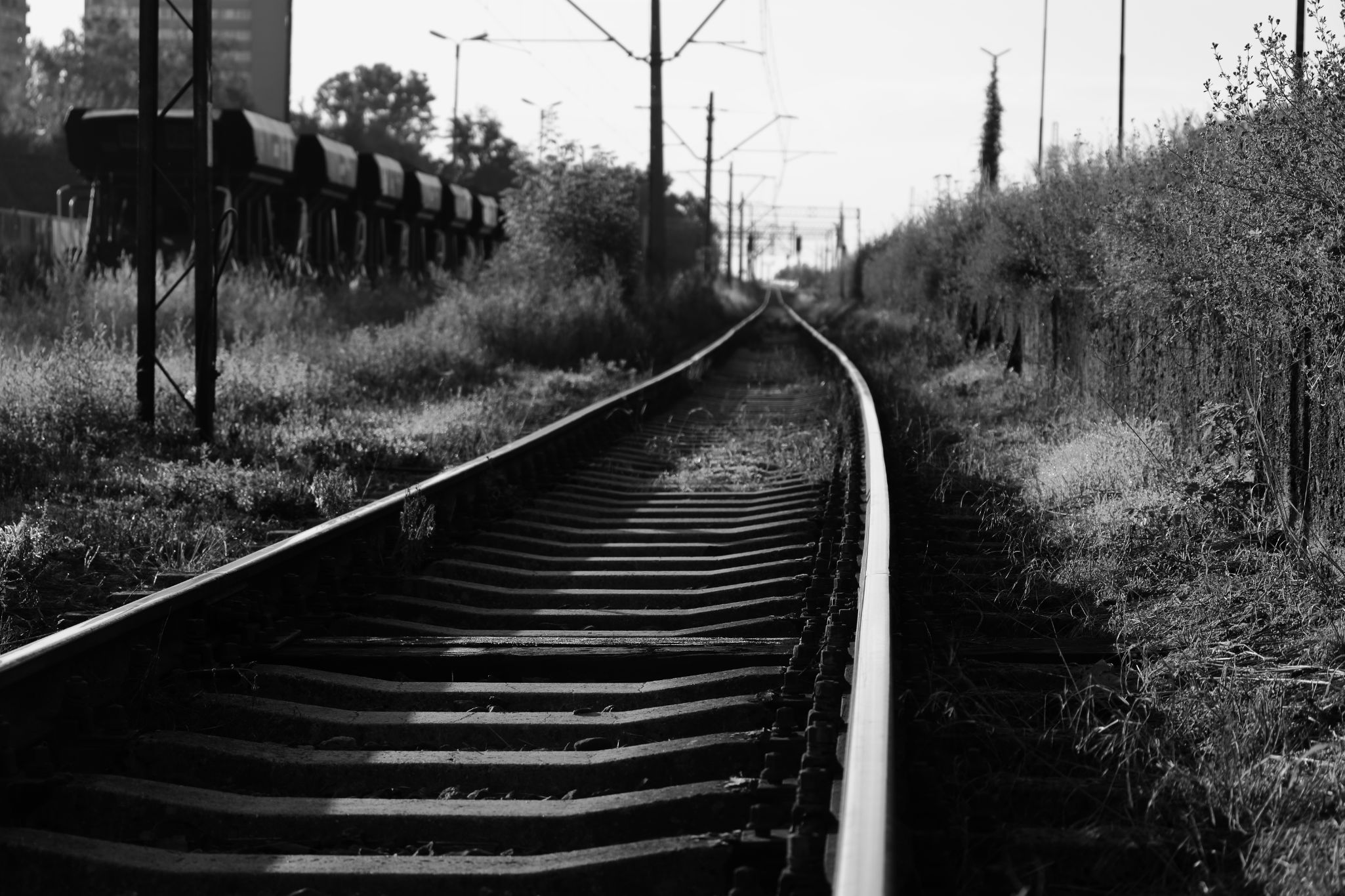2024 07 14 3558 v2 bw out