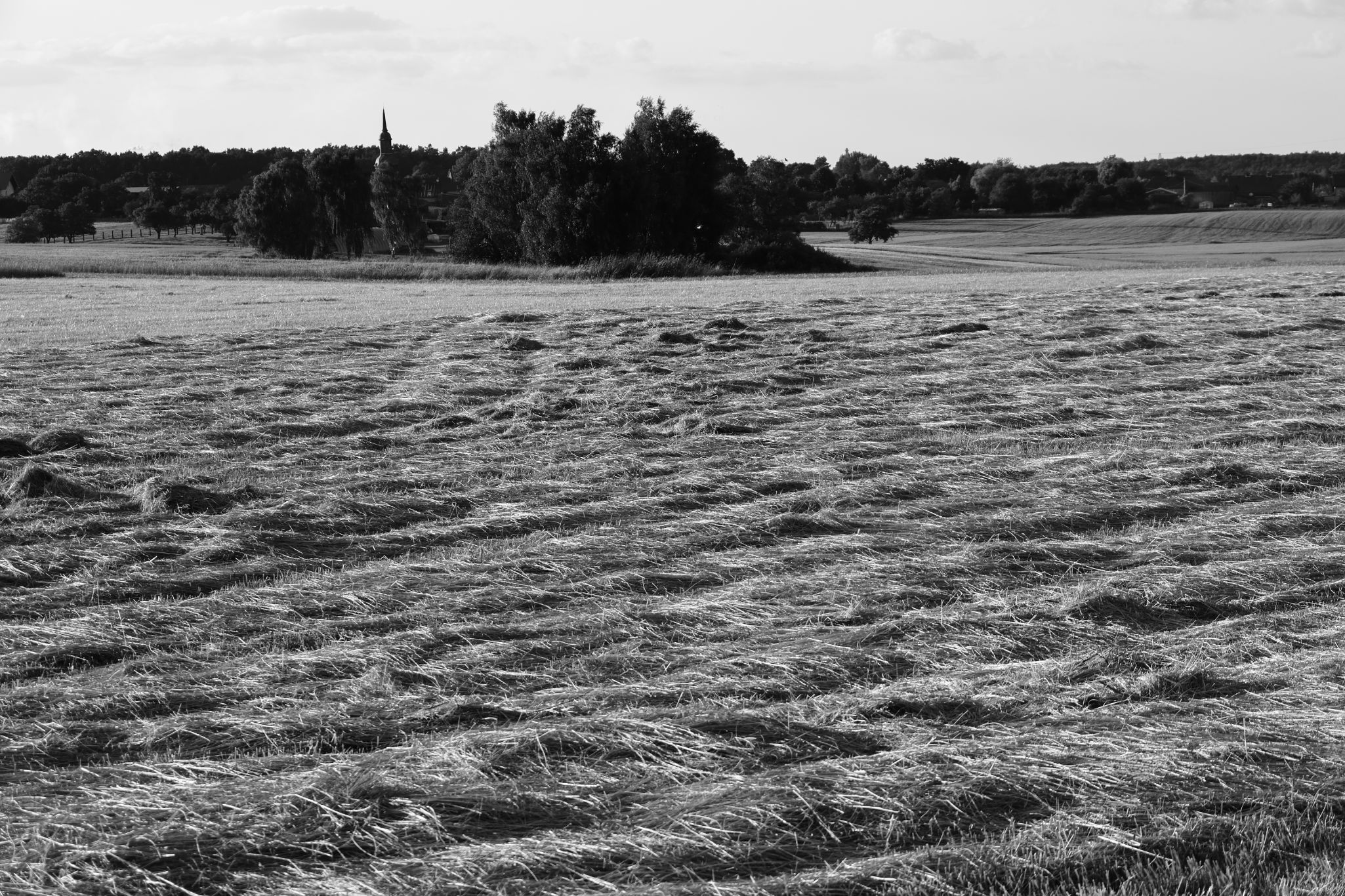 2025 07 03 6088 bw out