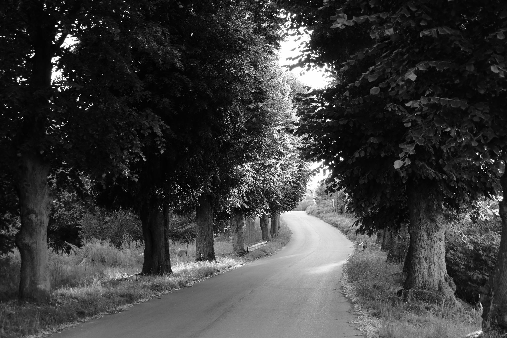 2025 07 03 6128 bw out