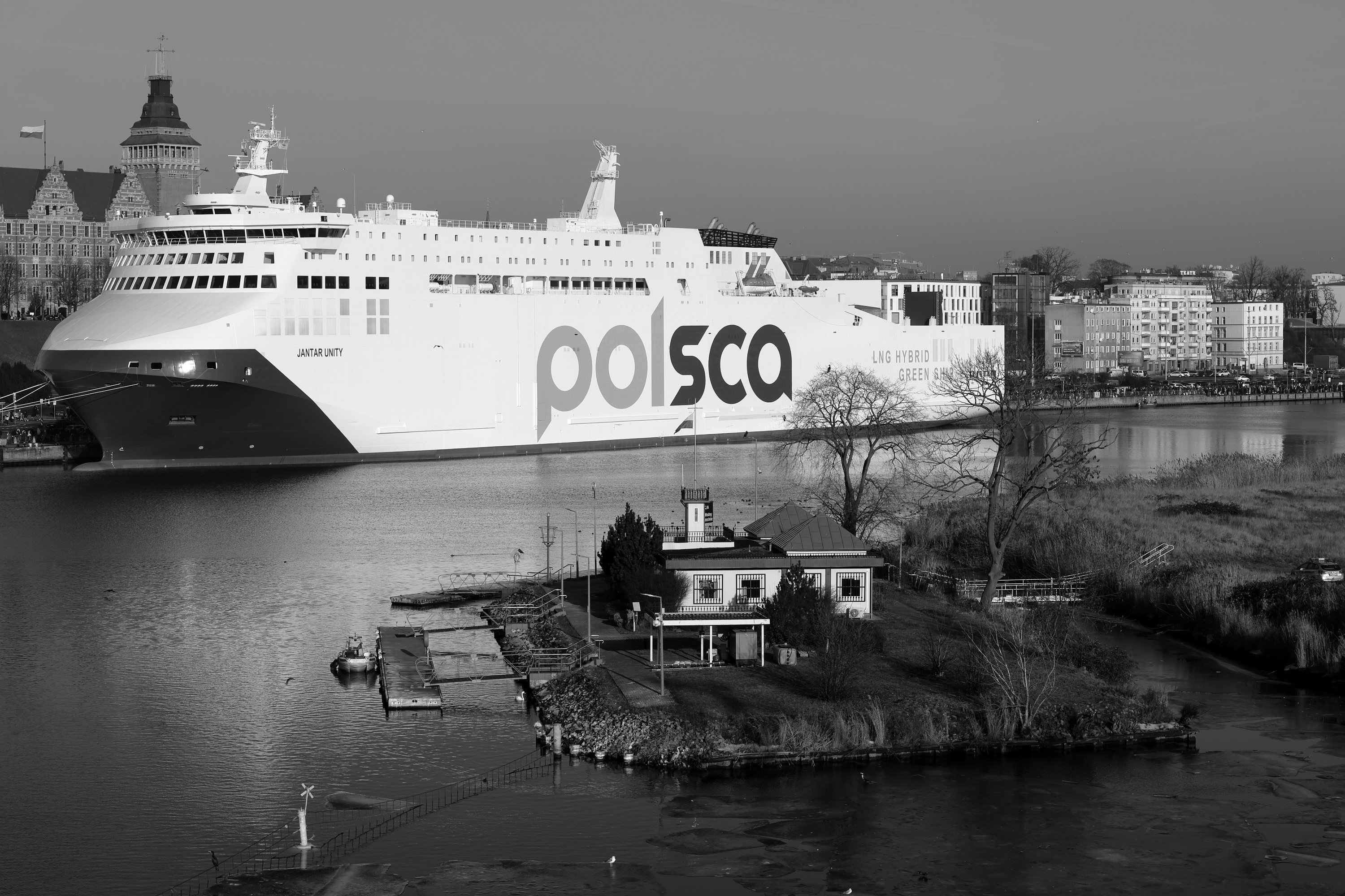 2026 01 18 8625 bw out
