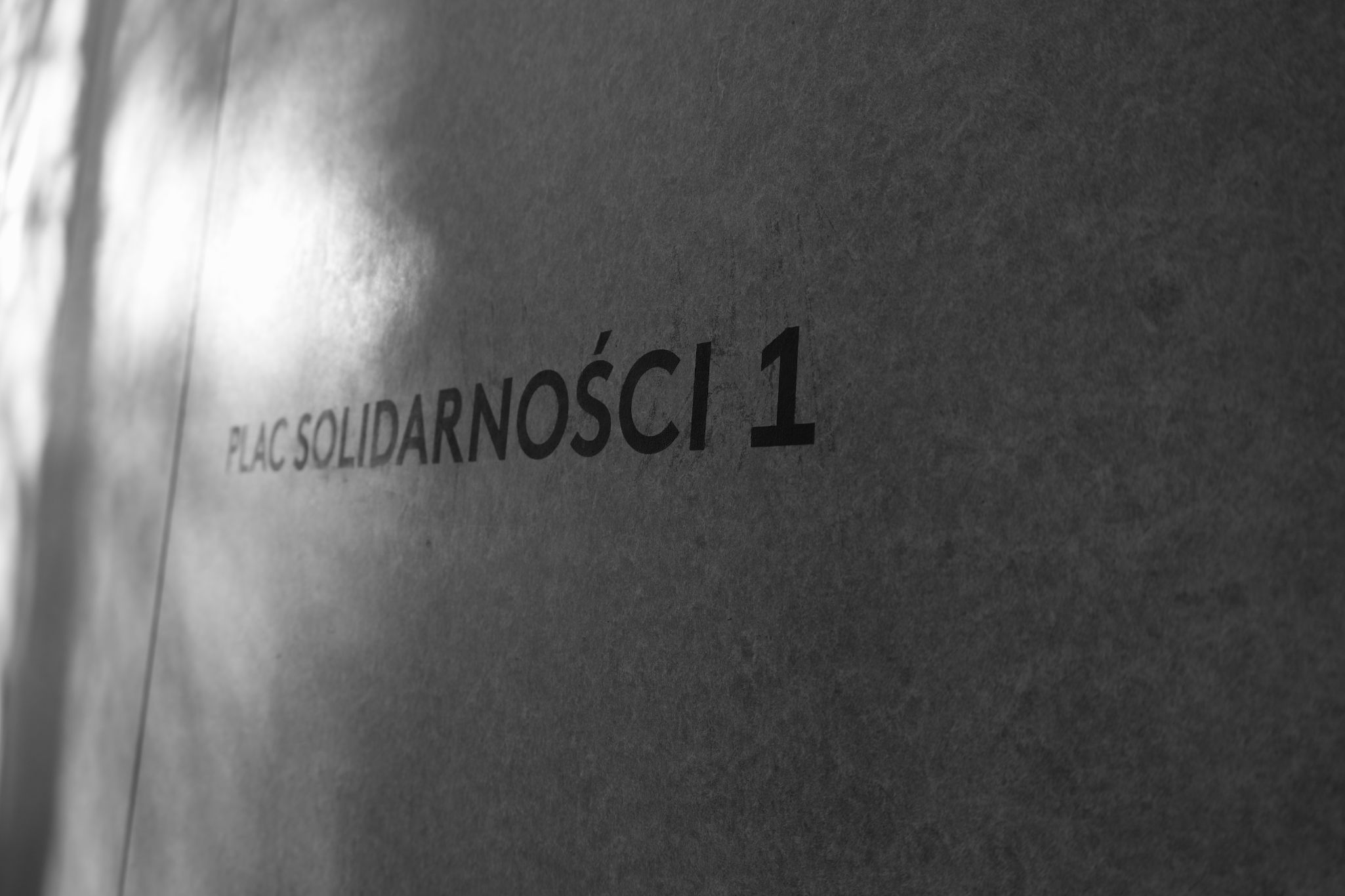 2024 11 30 5604 bw out