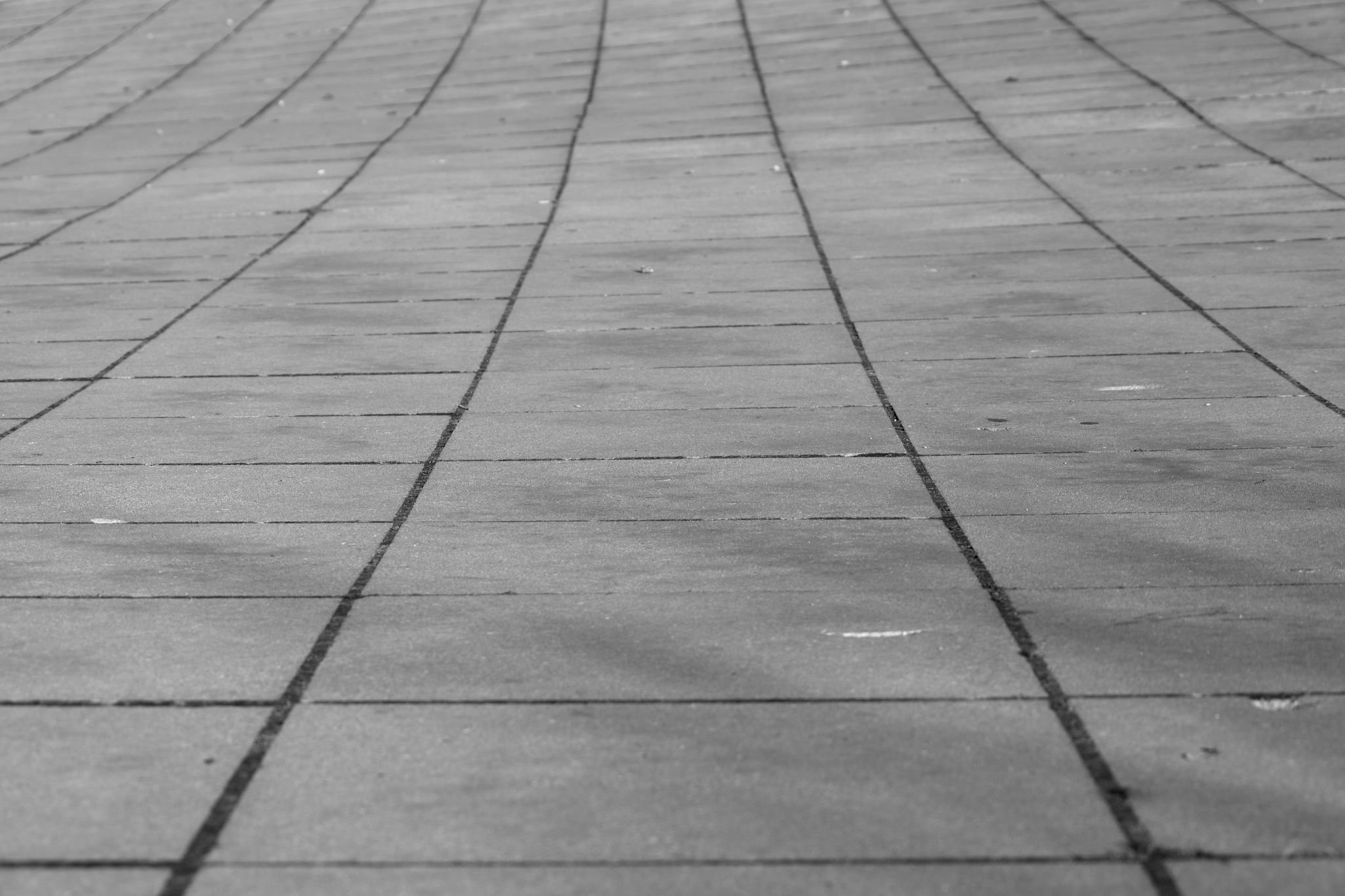 2024 11 30 5615 bw out
