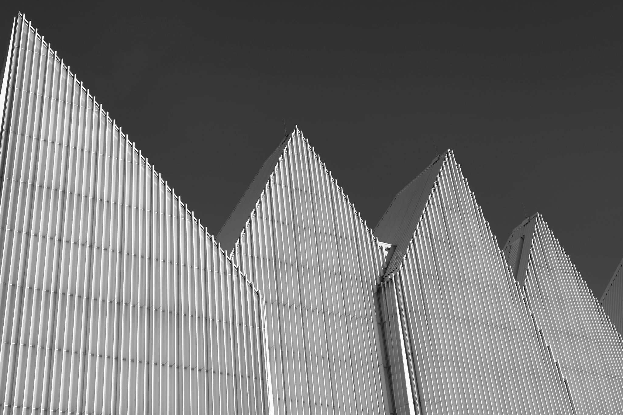 2024 11 30 5622 bw out