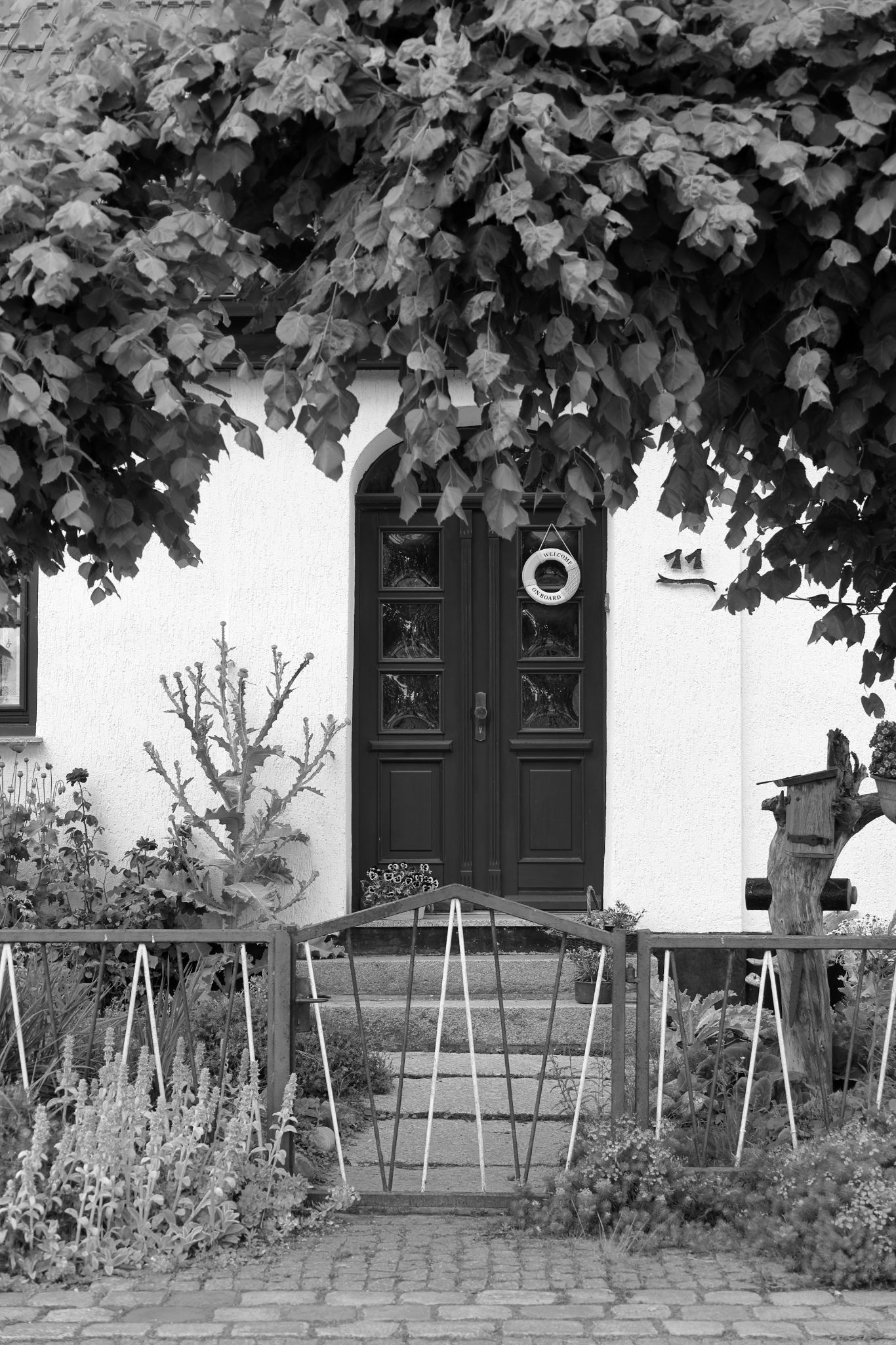 2024 06 16 3278 v2 bw out