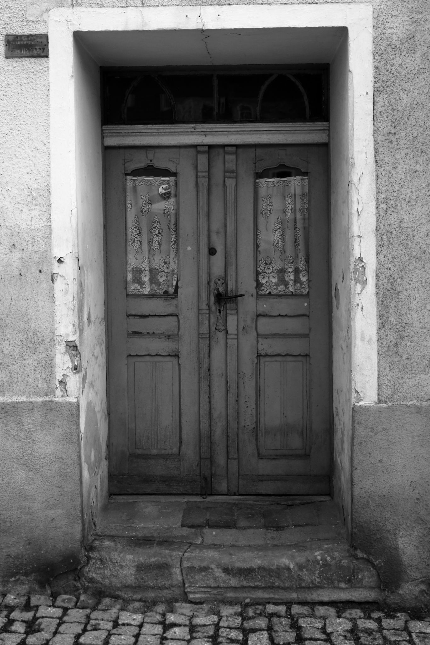 2024 08 16 3781 v2 bw out