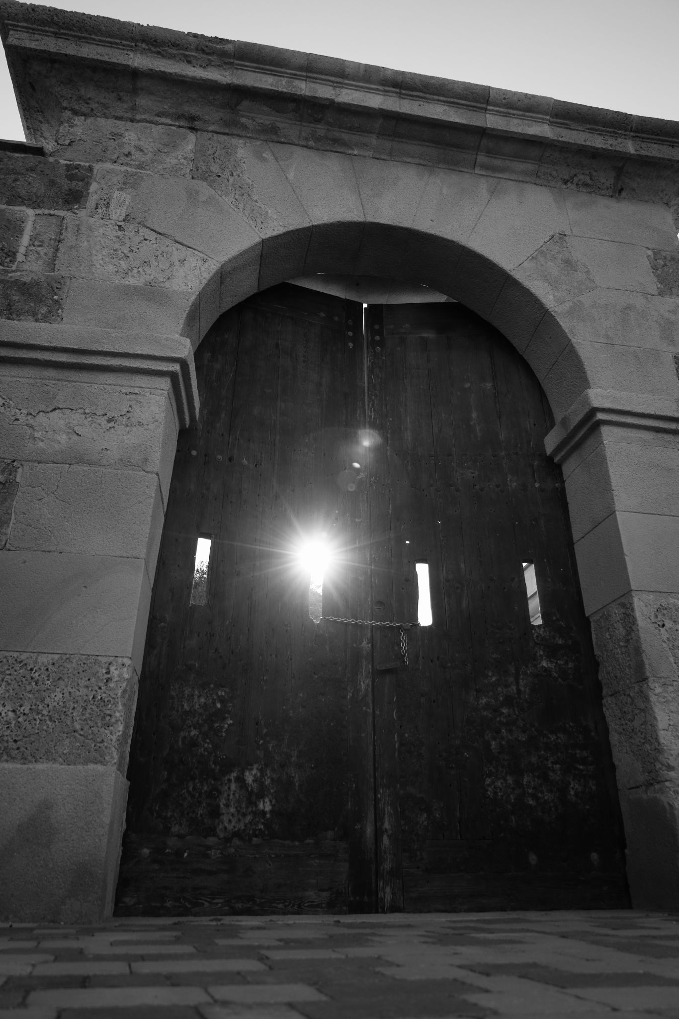 2024 11 01 4961 v2 bw out