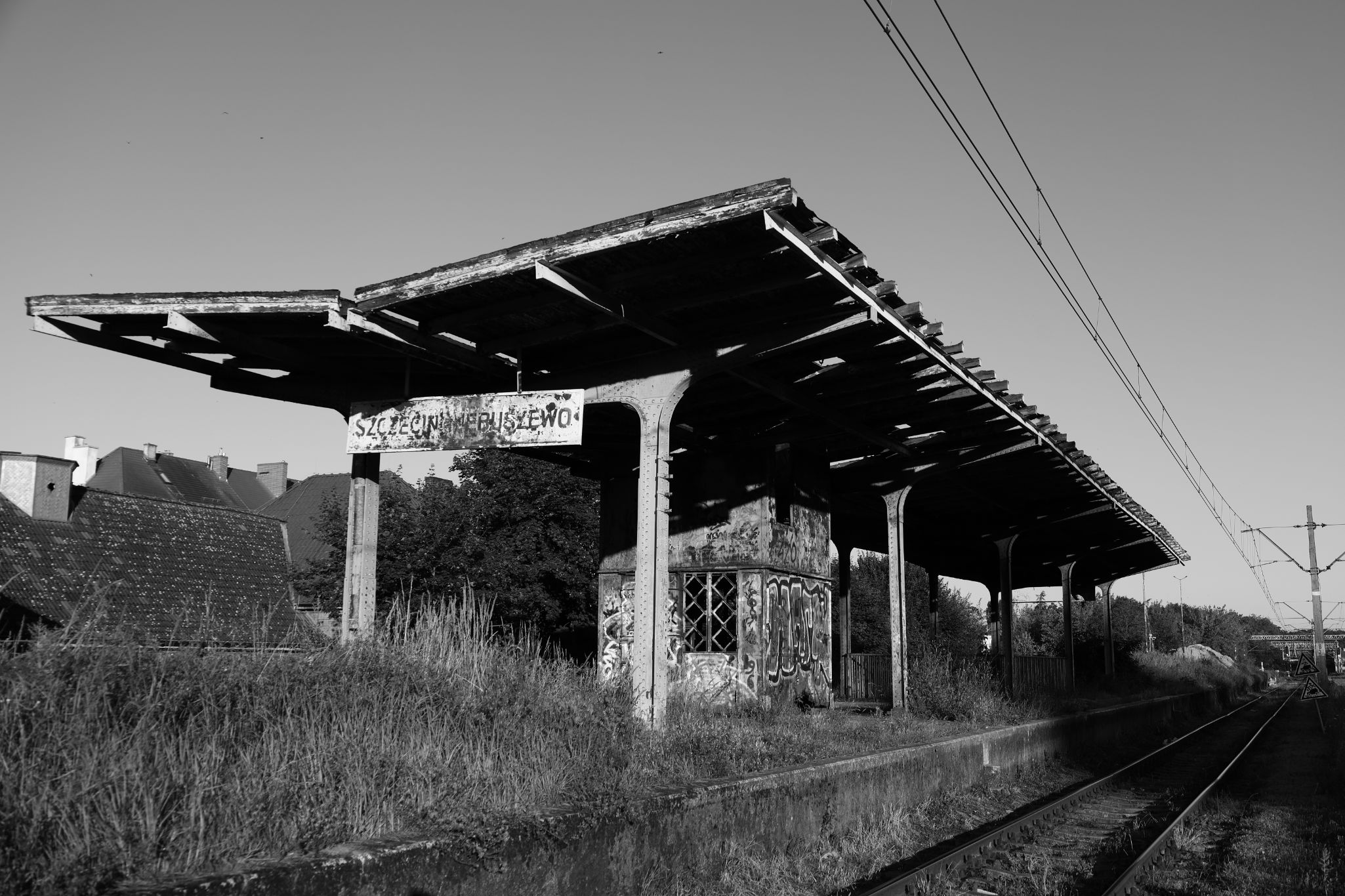 2024 07 14 3556 v2 bw out